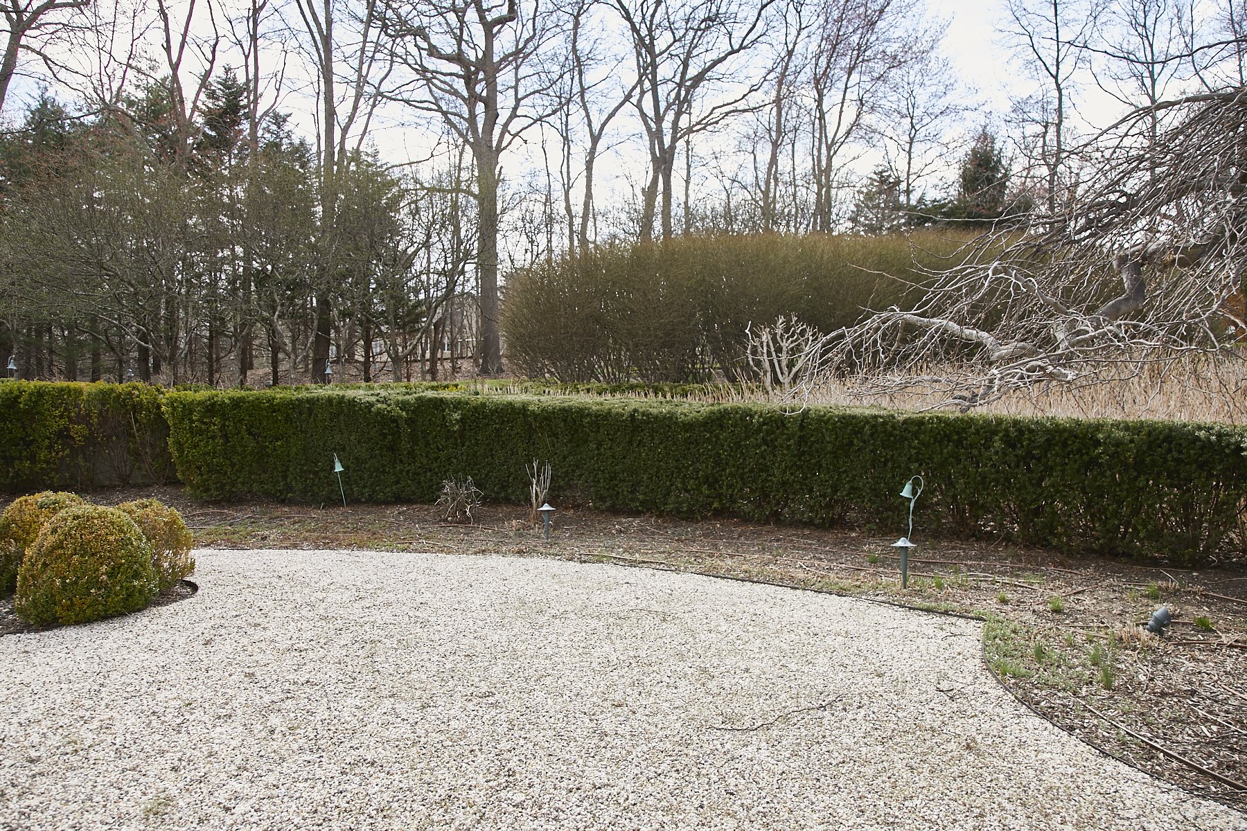 1985-4 Cedar Swamp , GLEN HEAD_189.jpg