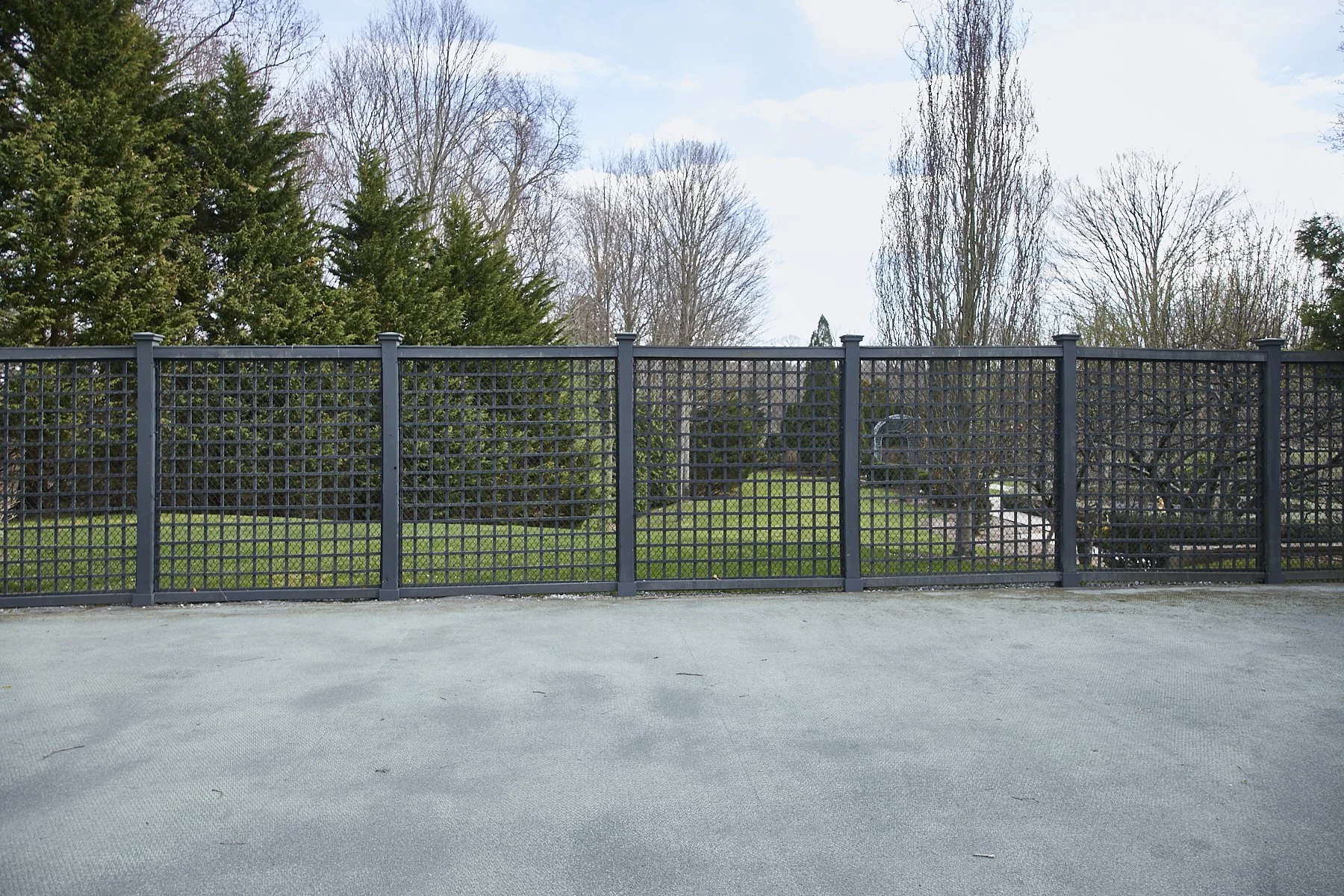 1985-4 Cedar Swamp , GLEN HEAD_85.jpg