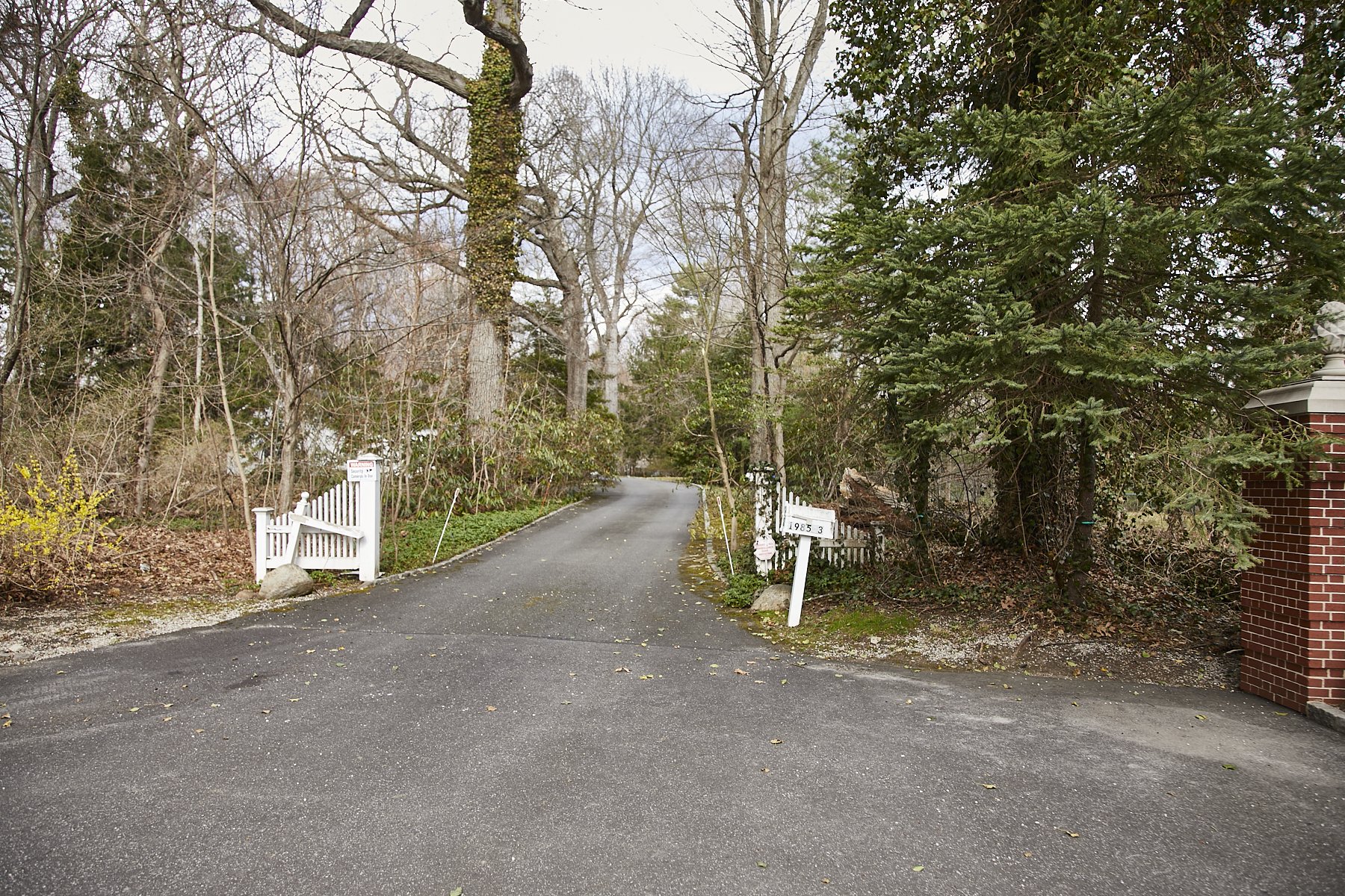 1985-4 Cedar Swamp , GLEN HEAD_338.jpg