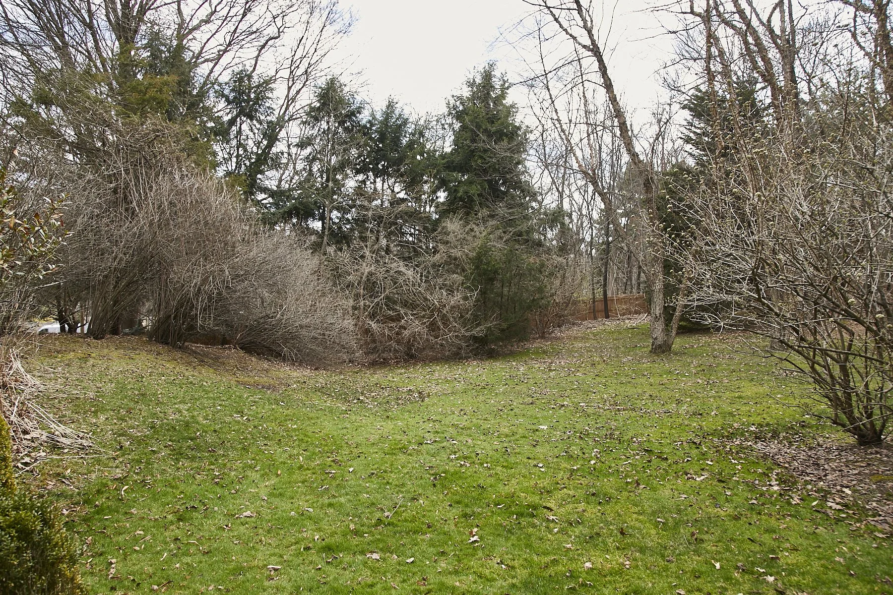 1985-4 Cedar Swamp , GLEN HEAD_119.jpg