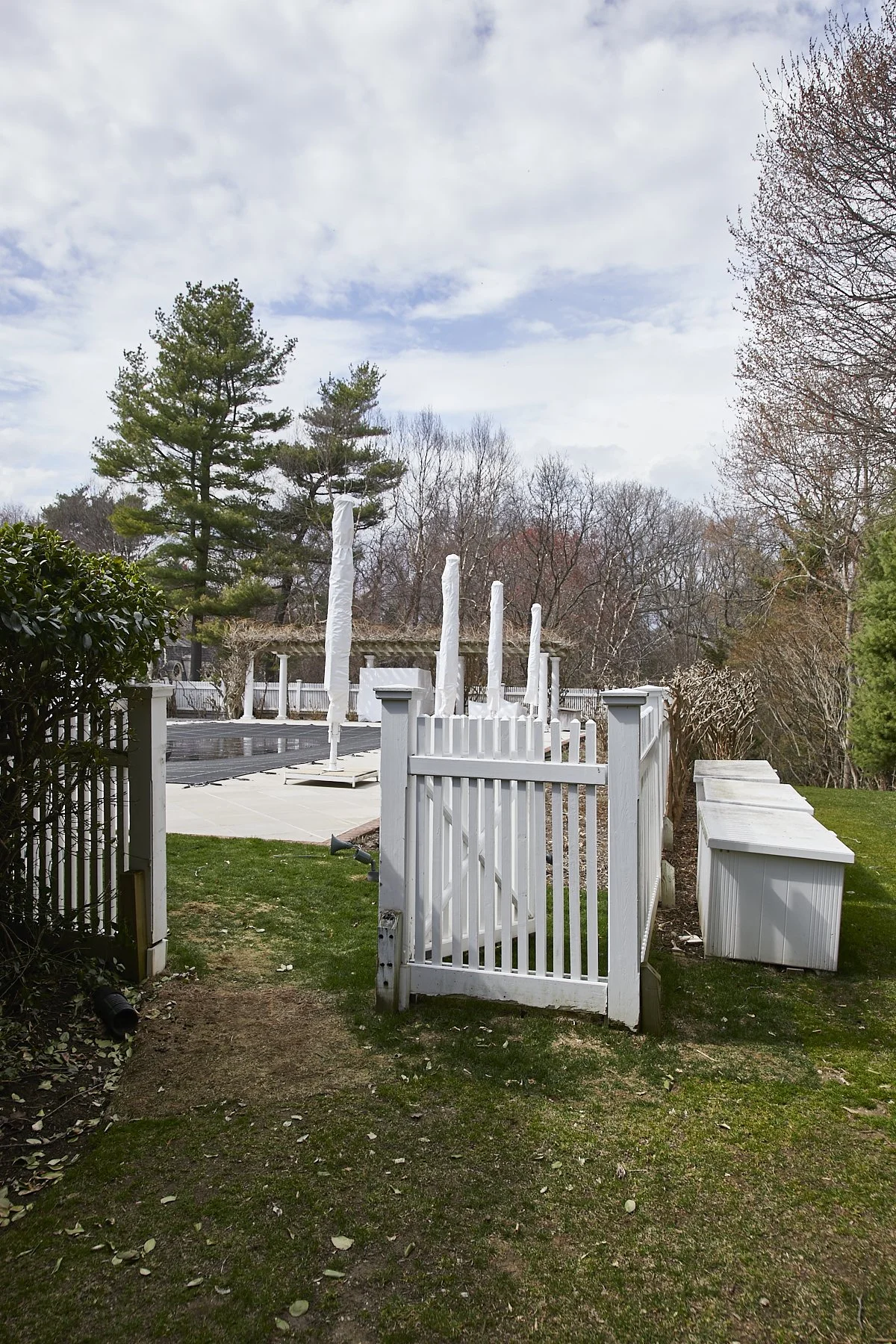 1985-4 Cedar Swamp , GLEN HEAD_42.jpg