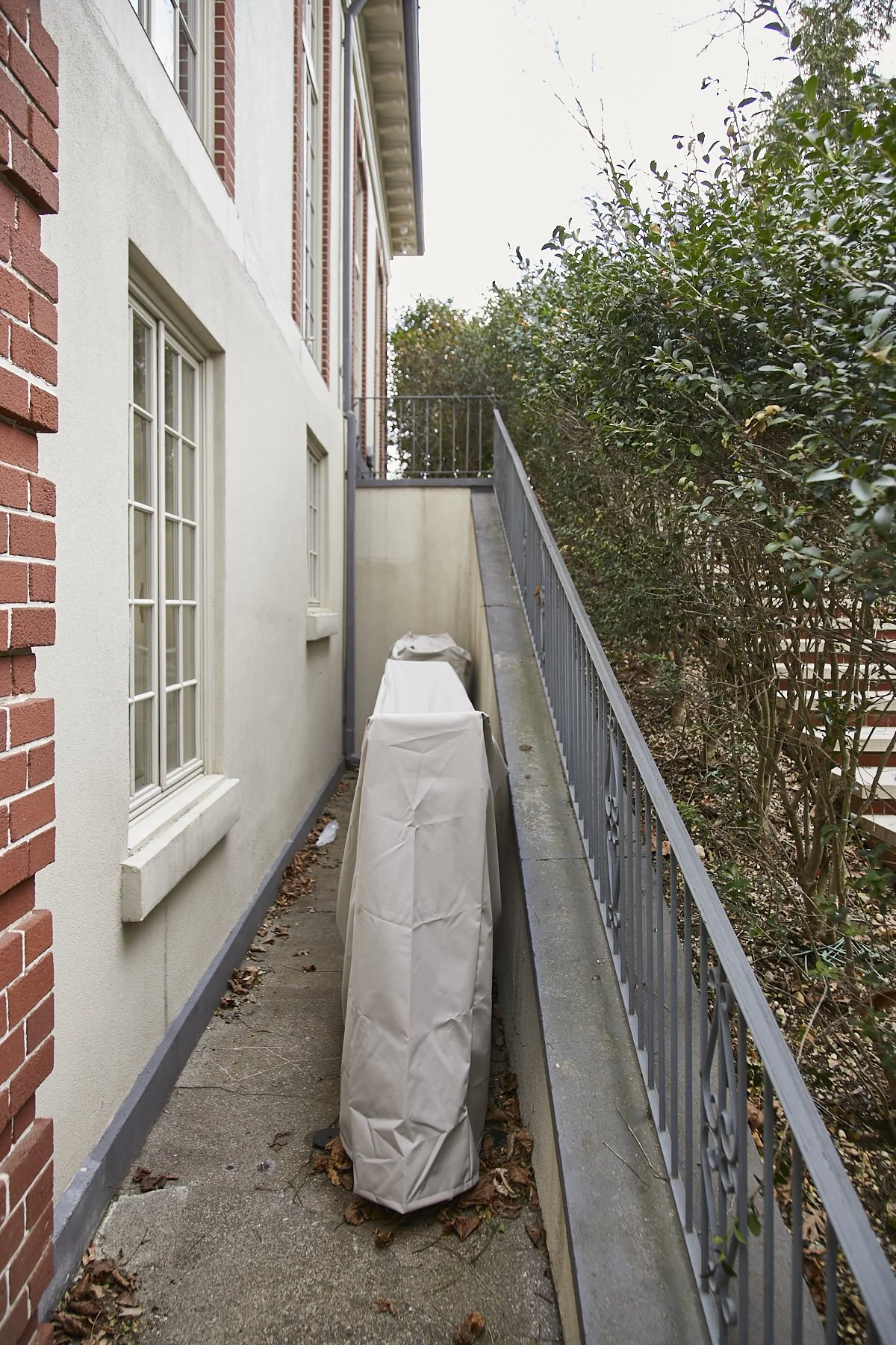 1985-4 Cedar Swamp , GLEN HEAD_281.jpg