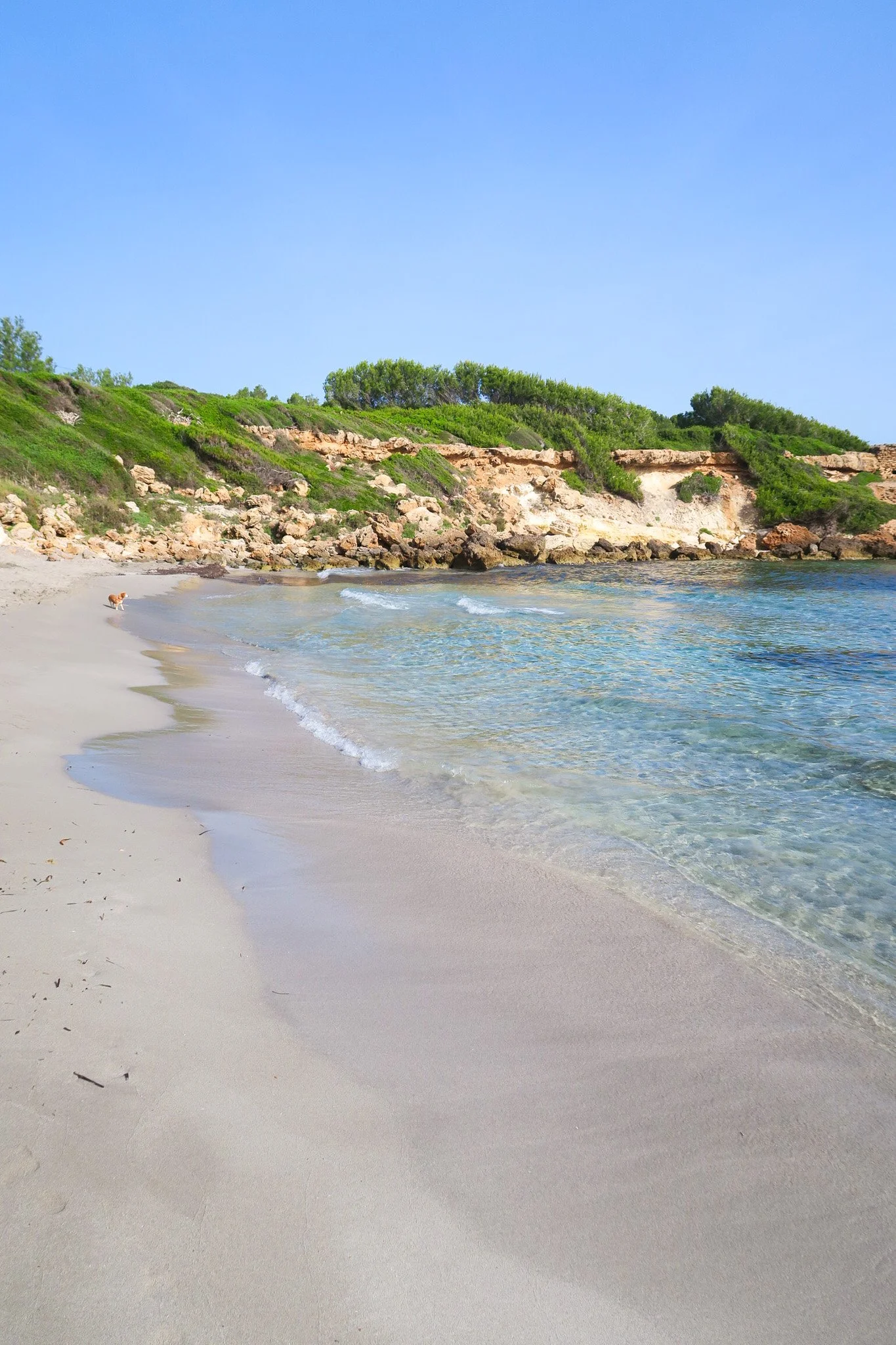 CalaSantJoan_9.jpg
