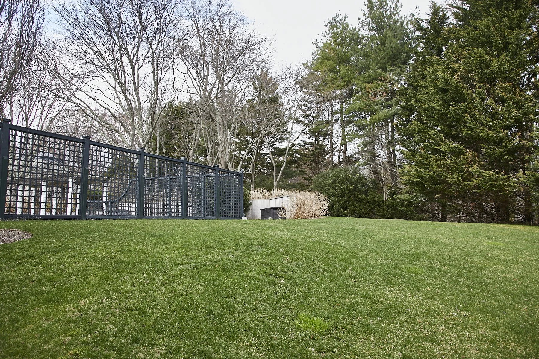 1985-4 Cedar Swamp , GLEN HEAD_98.jpg