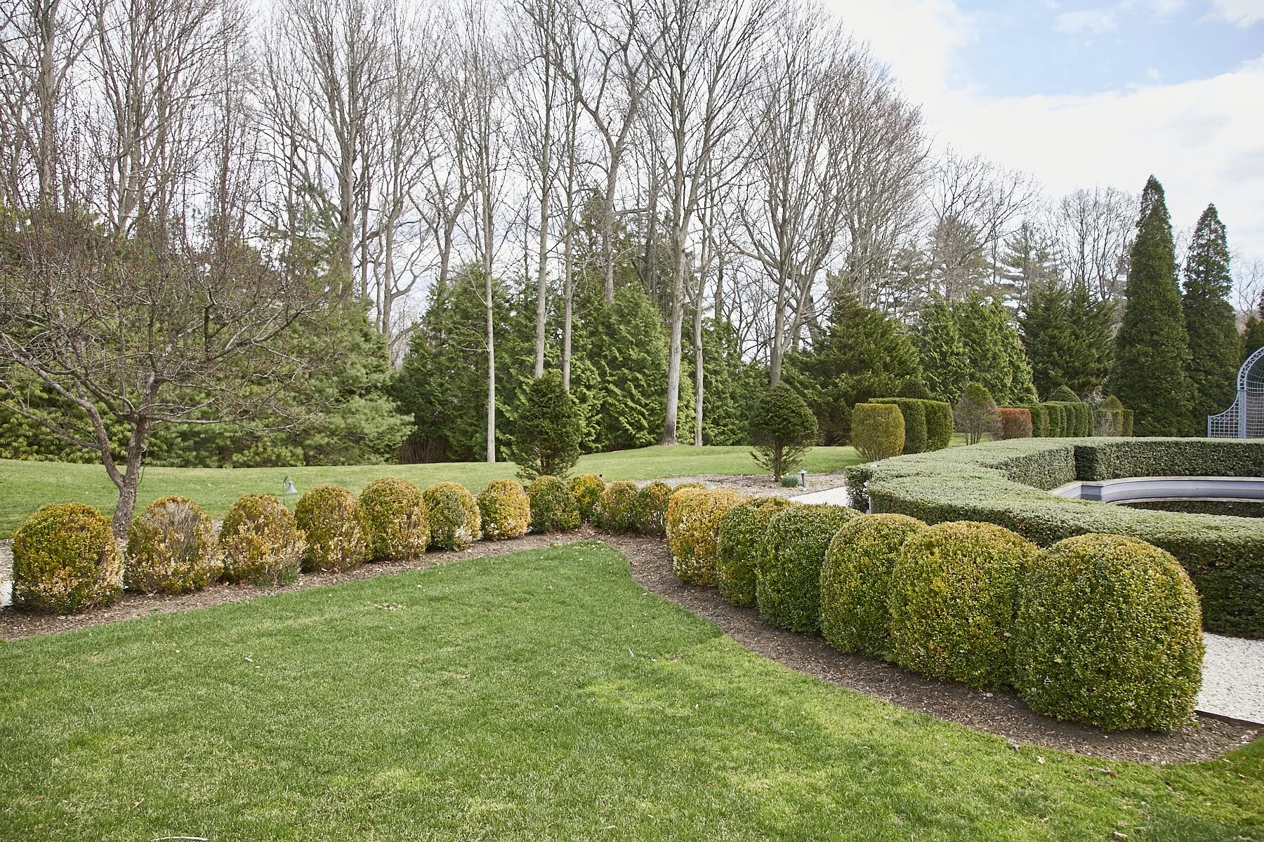 1985-4 Cedar Swamp , GLEN HEAD_176.jpg