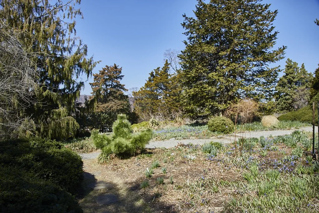 WAVE_HILL_BRONX_448.jpg