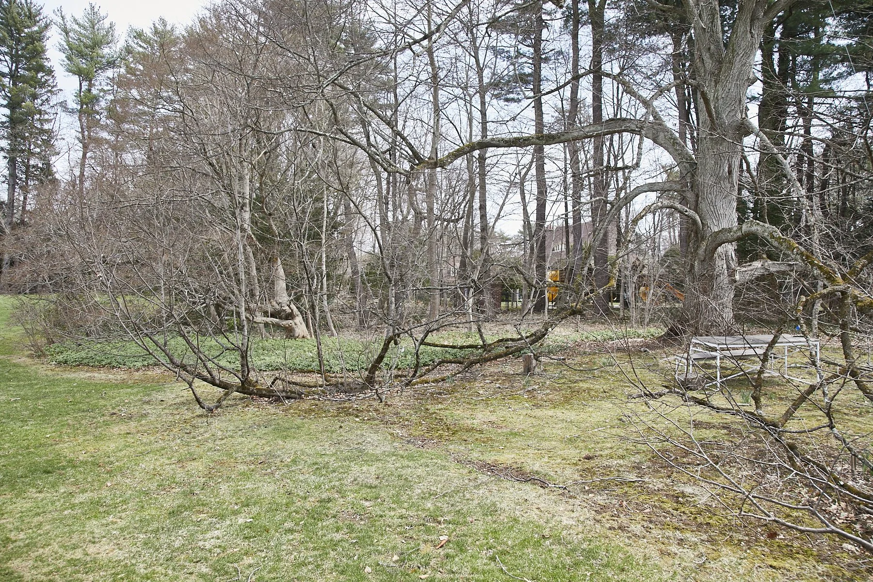 3 MEADOW SPRING LANE - GLEN COVE_139.jpg