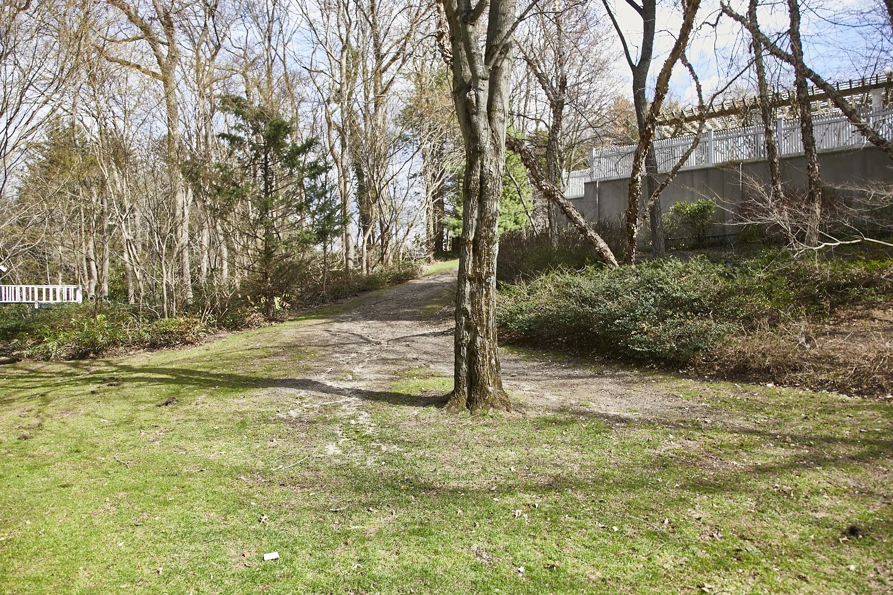 1985-4 Cedar Swamp , GLEN HEAD_326.jpg