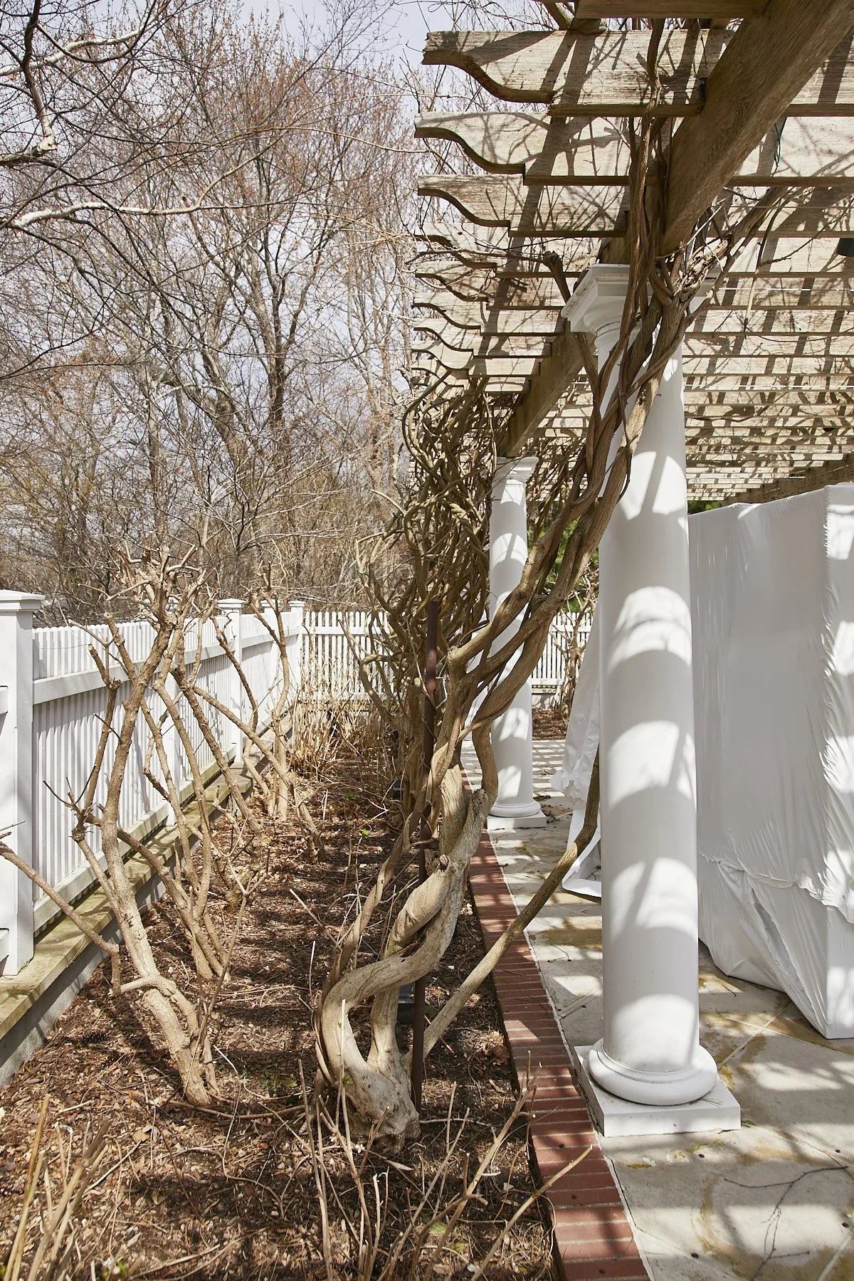 1985-4 Cedar Swamp , GLEN HEAD_33.jpg