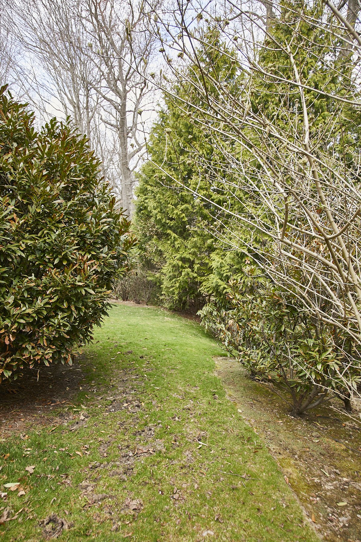 1985-4 Cedar Swamp , GLEN HEAD_117.jpg