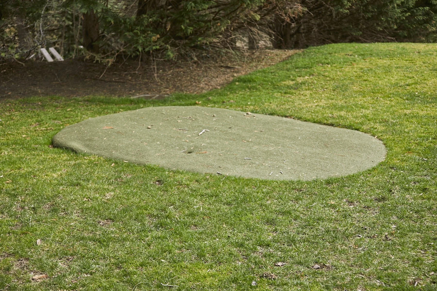 1985-4 Cedar Swamp , GLEN HEAD_93.jpg