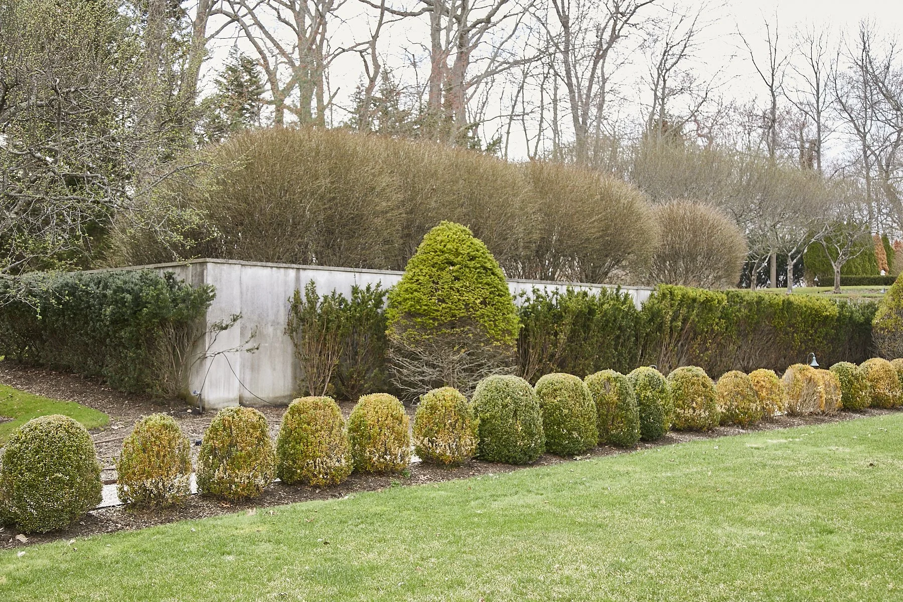 1985-4 Cedar Swamp , GLEN HEAD_179.jpg