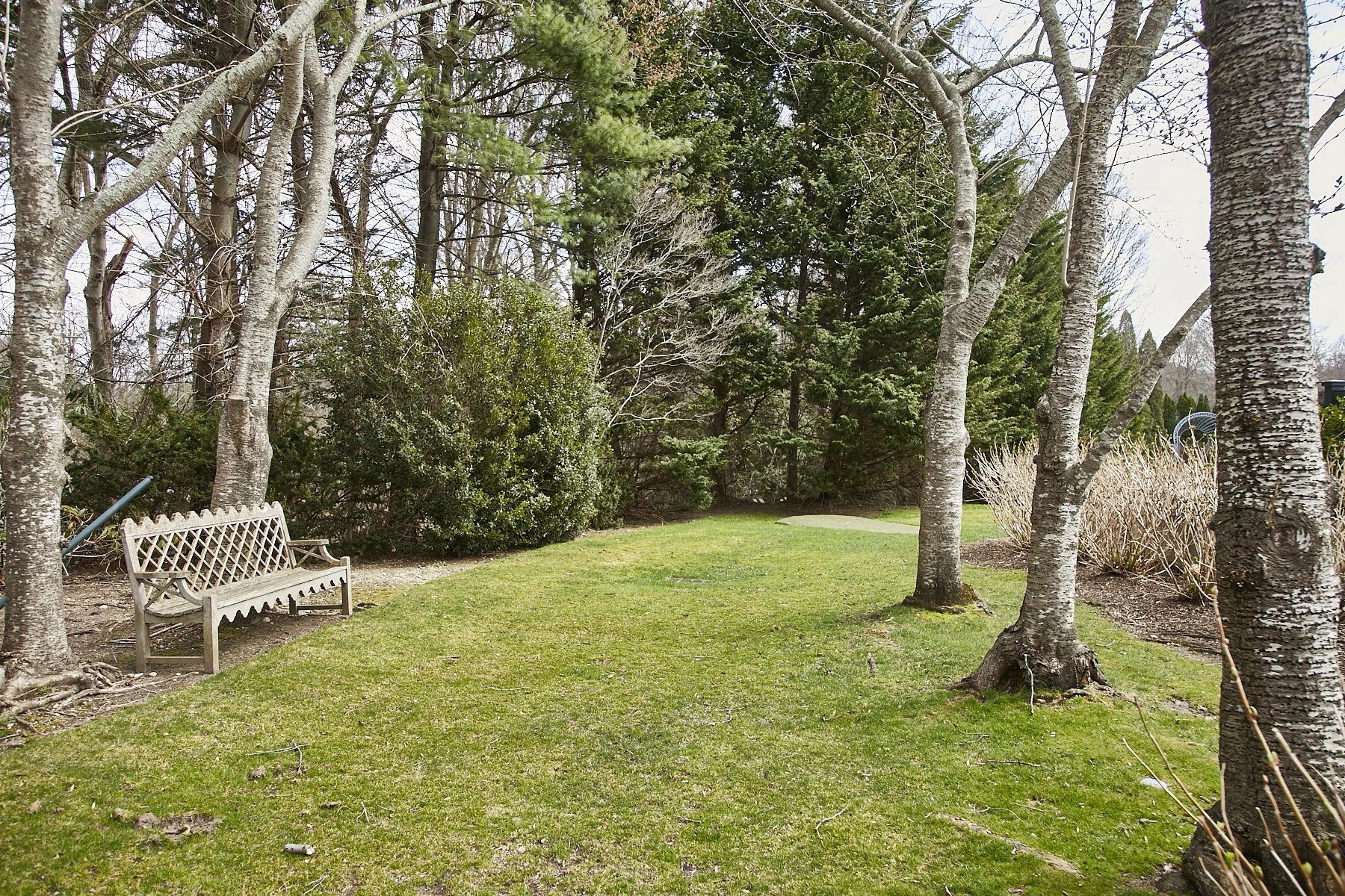 1985-4 Cedar Swamp , GLEN HEAD_58.jpg