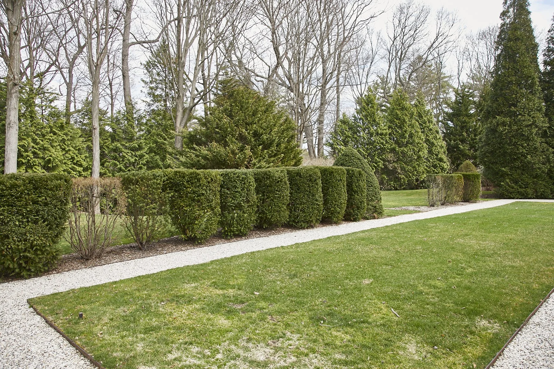 1985-4 Cedar Swamp , GLEN HEAD_154.jpg