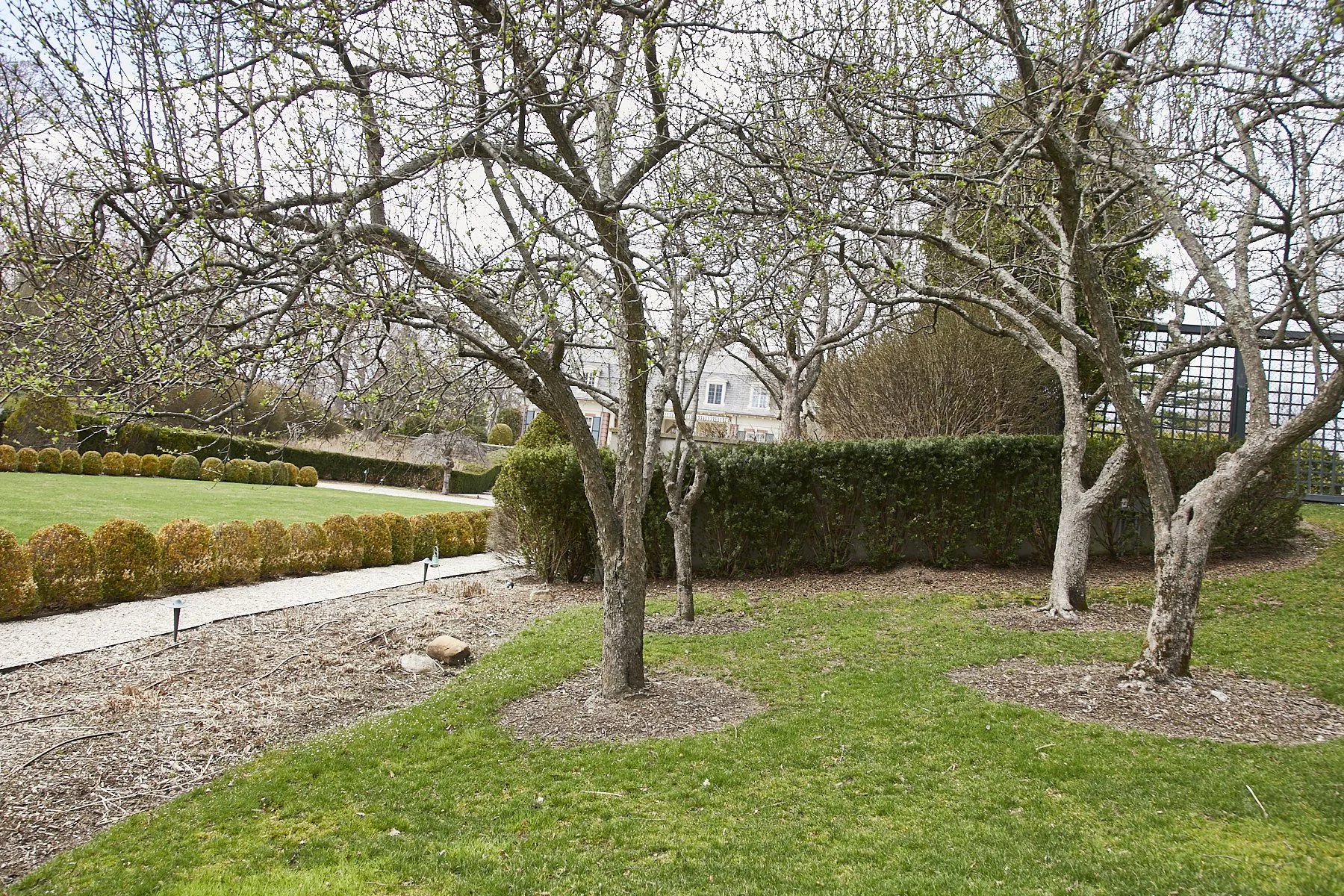 1985-4 Cedar Swamp , GLEN HEAD_100.jpg