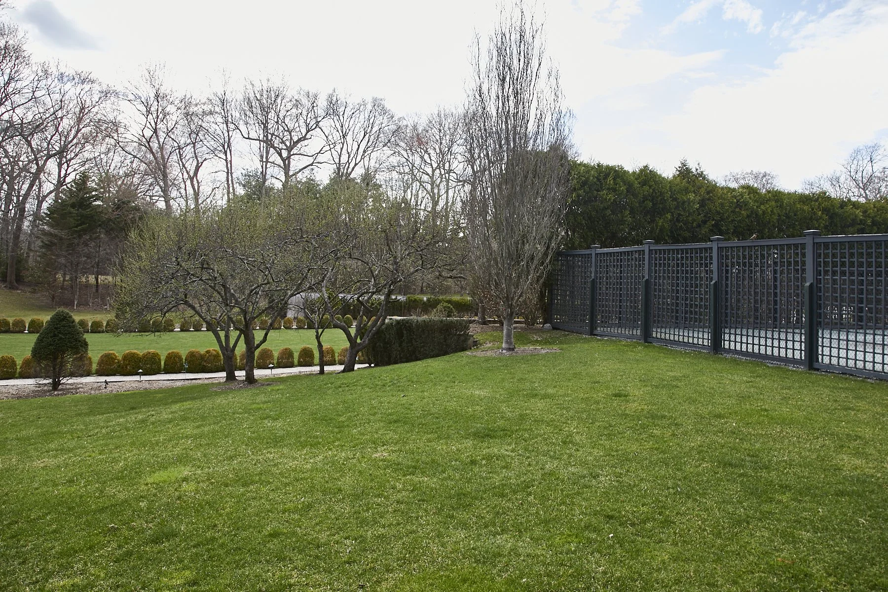 1985-4 Cedar Swamp , GLEN HEAD_97.jpg