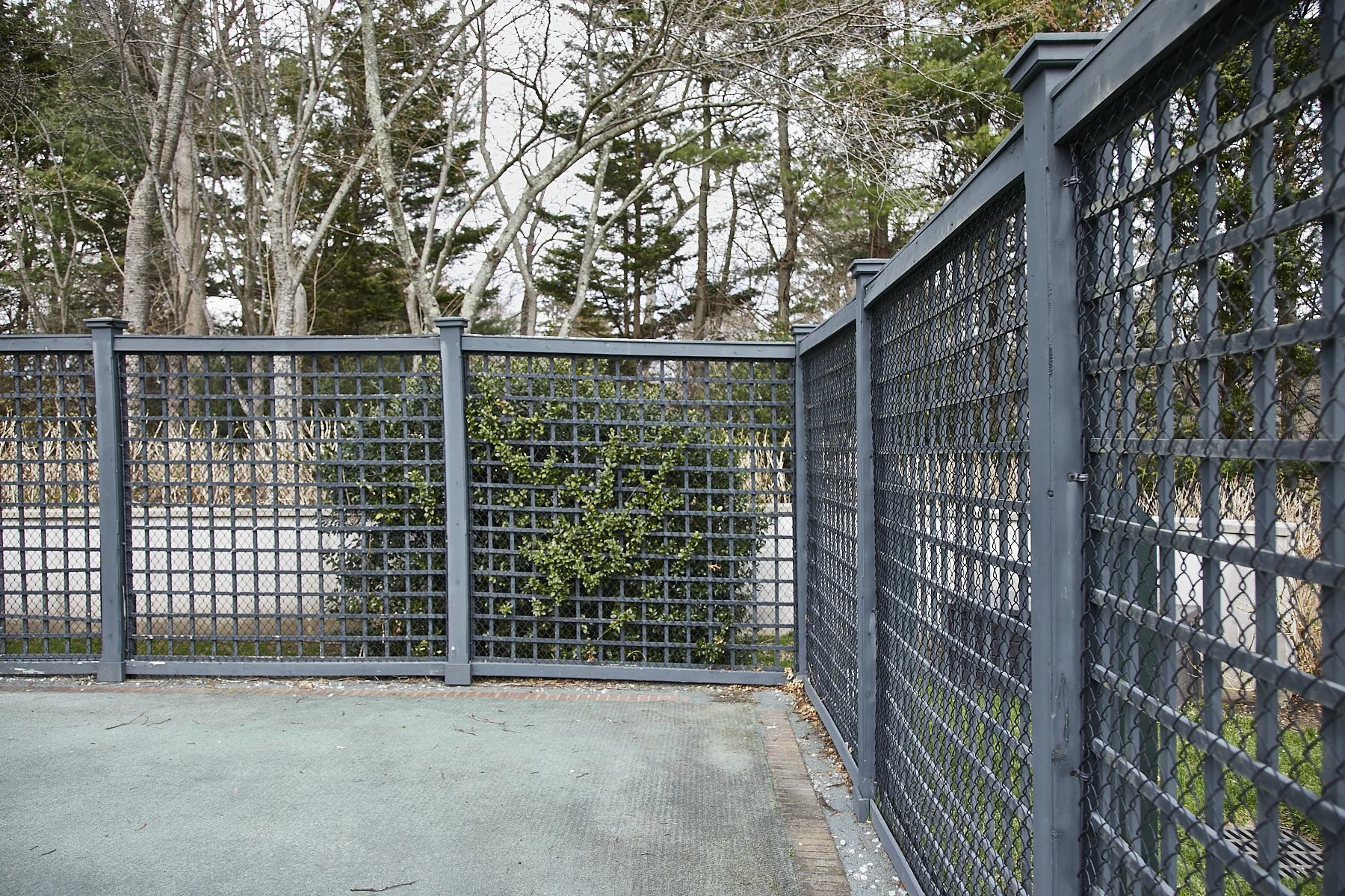 1985-4 Cedar Swamp , GLEN HEAD_79.jpg