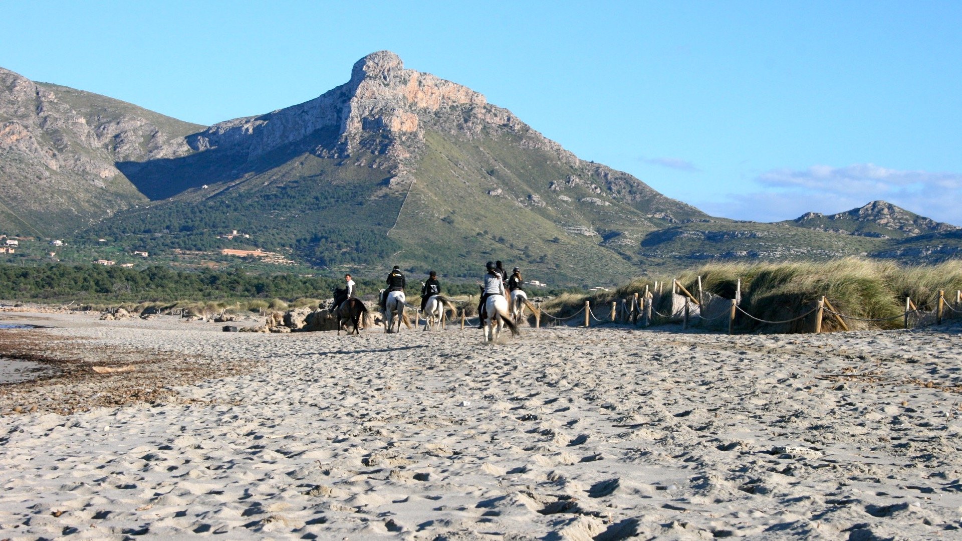 SonSerra_7.jpg