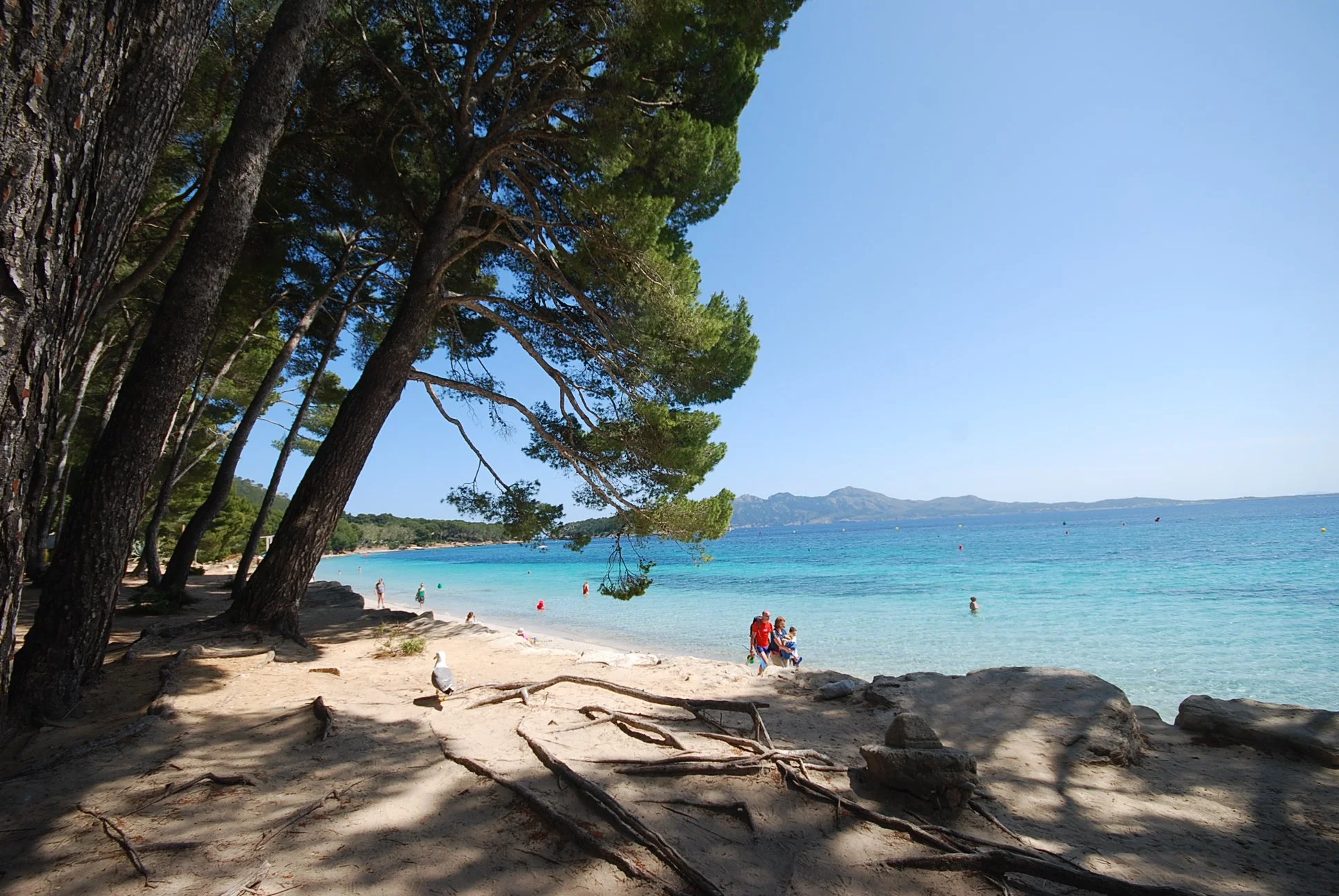Formentor_9.JPG