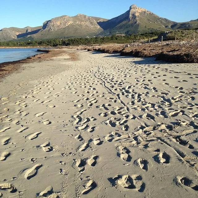 SonSerra_2.jpg
