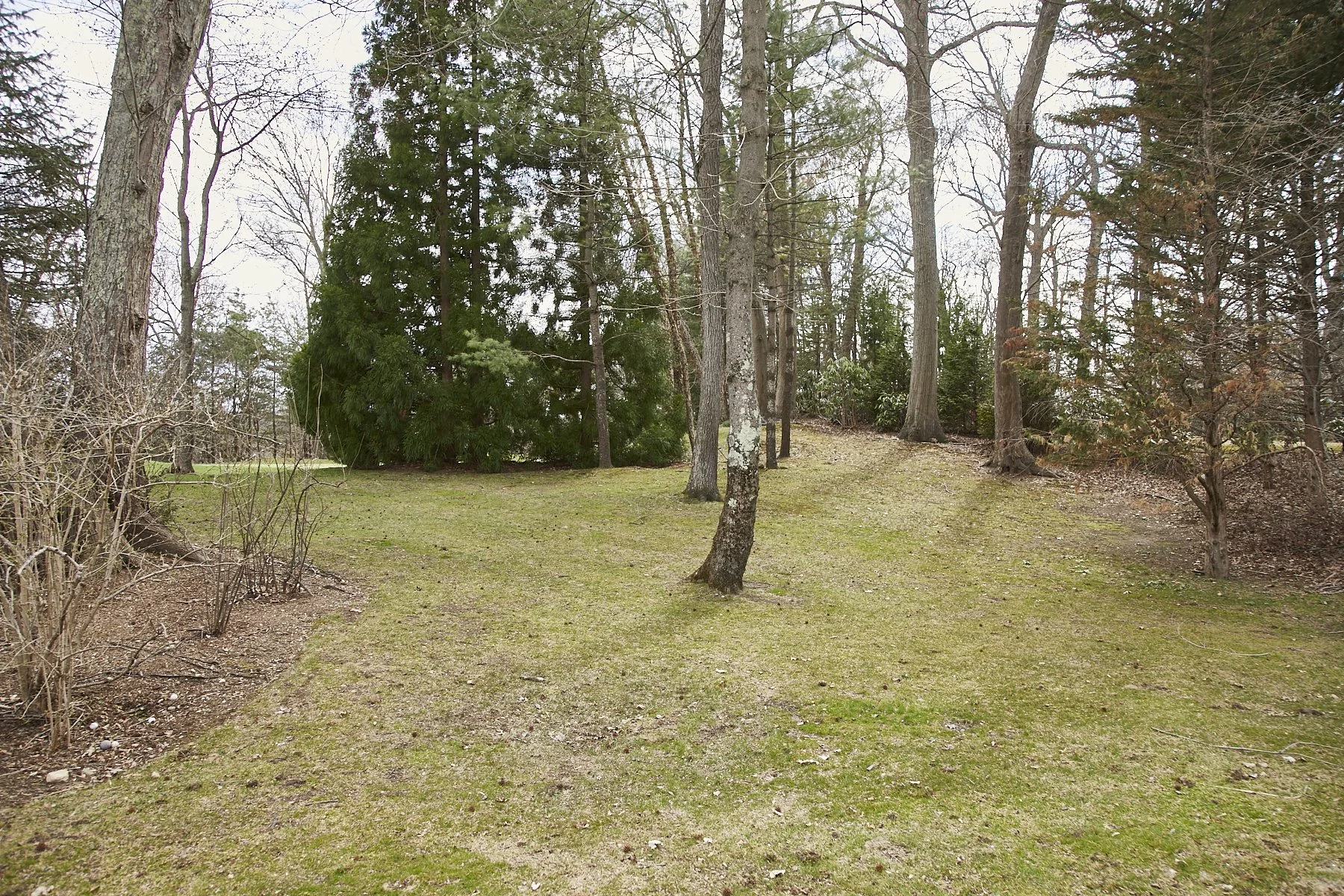 1985-4 Cedar Swamp , GLEN HEAD_163.jpg