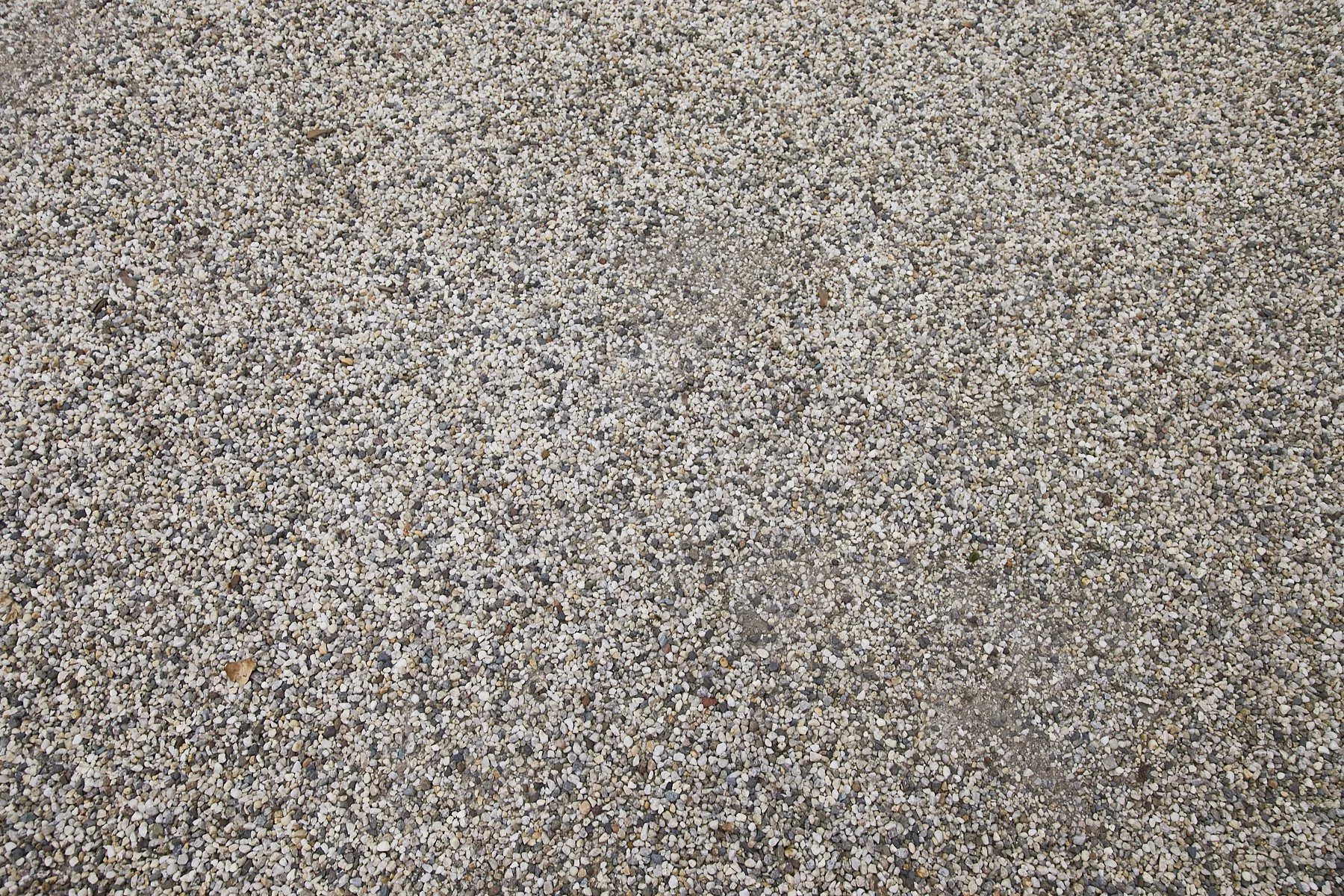 1985-4 Cedar Swamp , GLEN HEAD_286.jpg