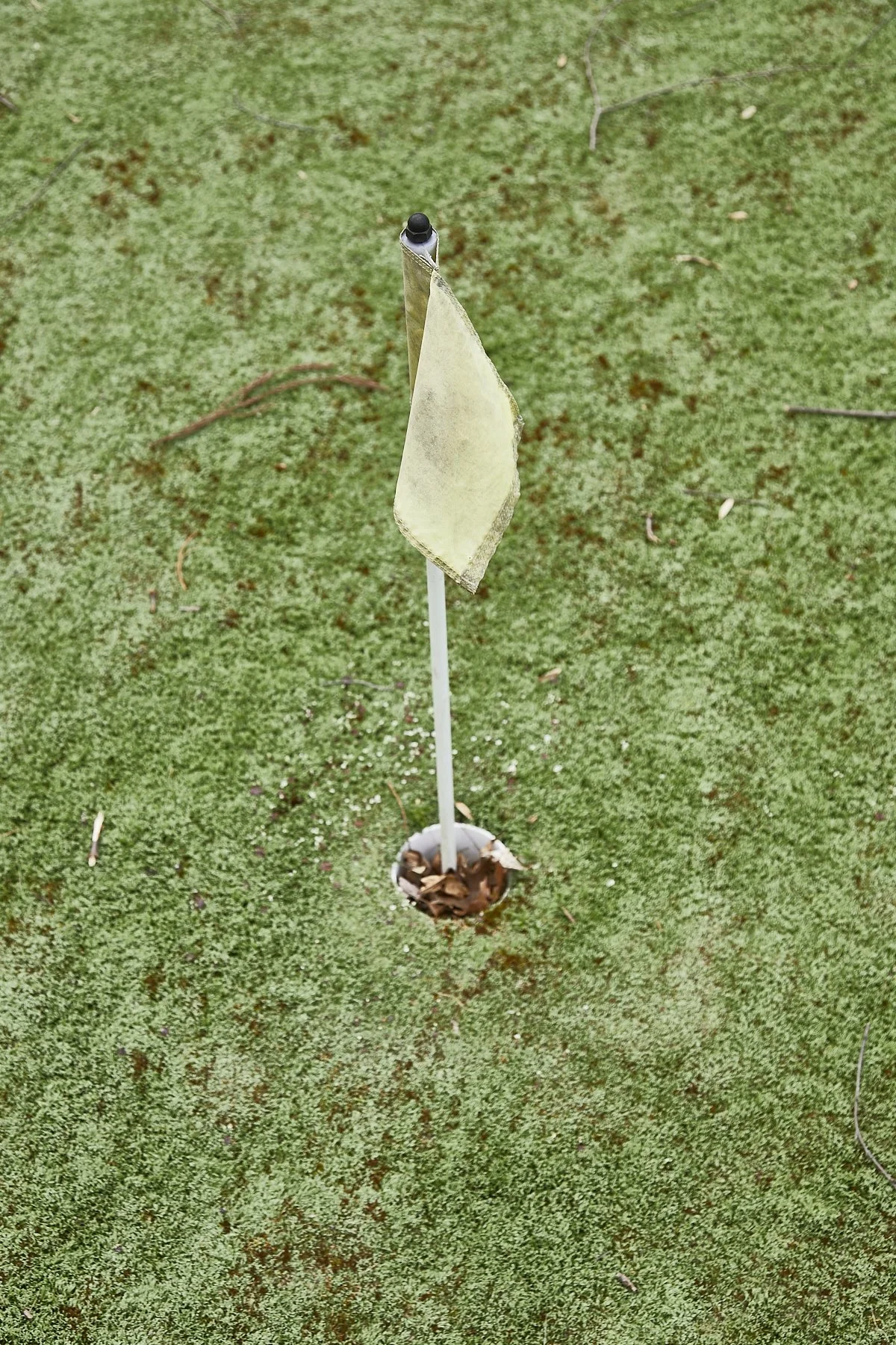 1985-4 Cedar Swamp , GLEN HEAD_127.jpg