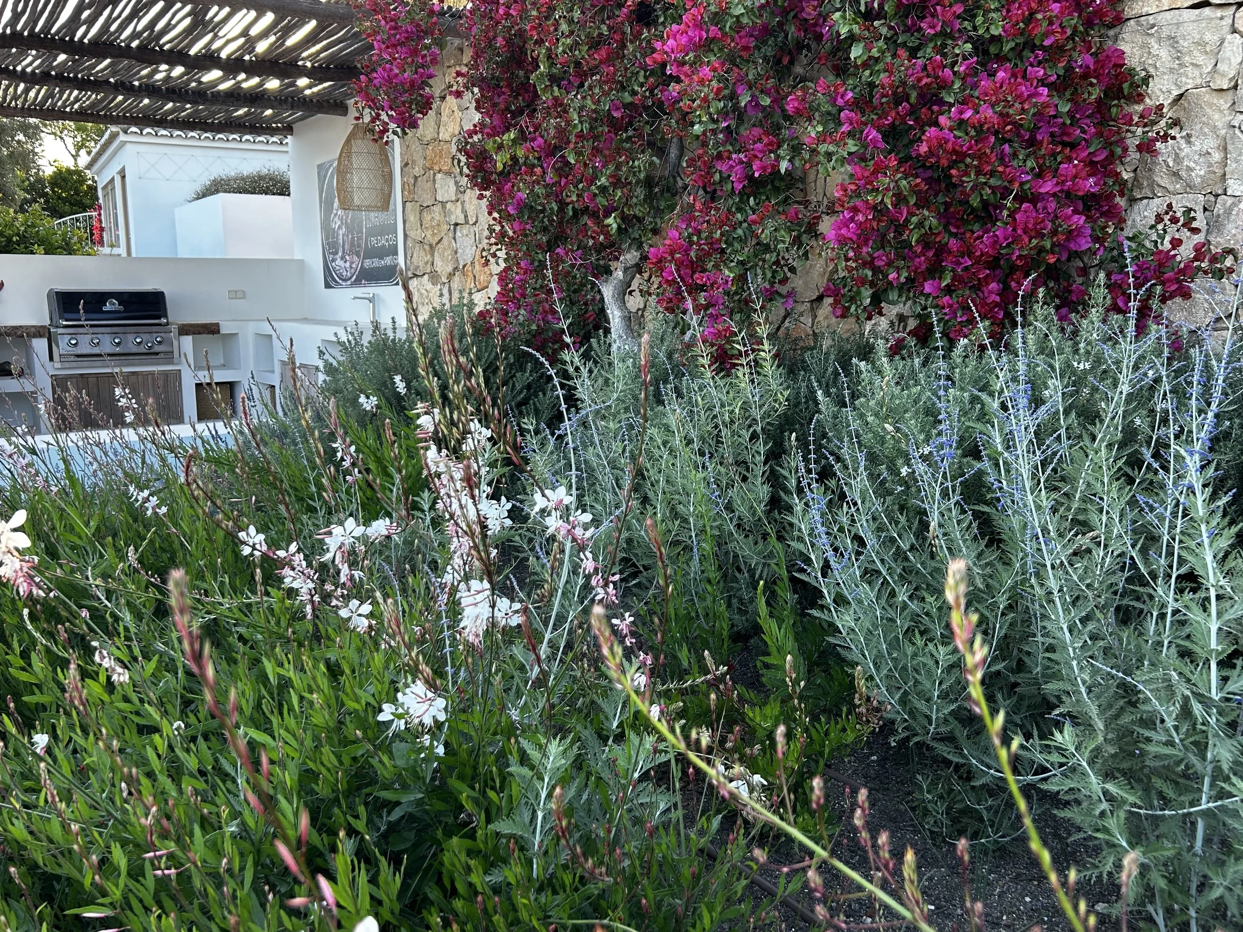 earth&clay garden landscape design almancil - earth and clay884.jpeg