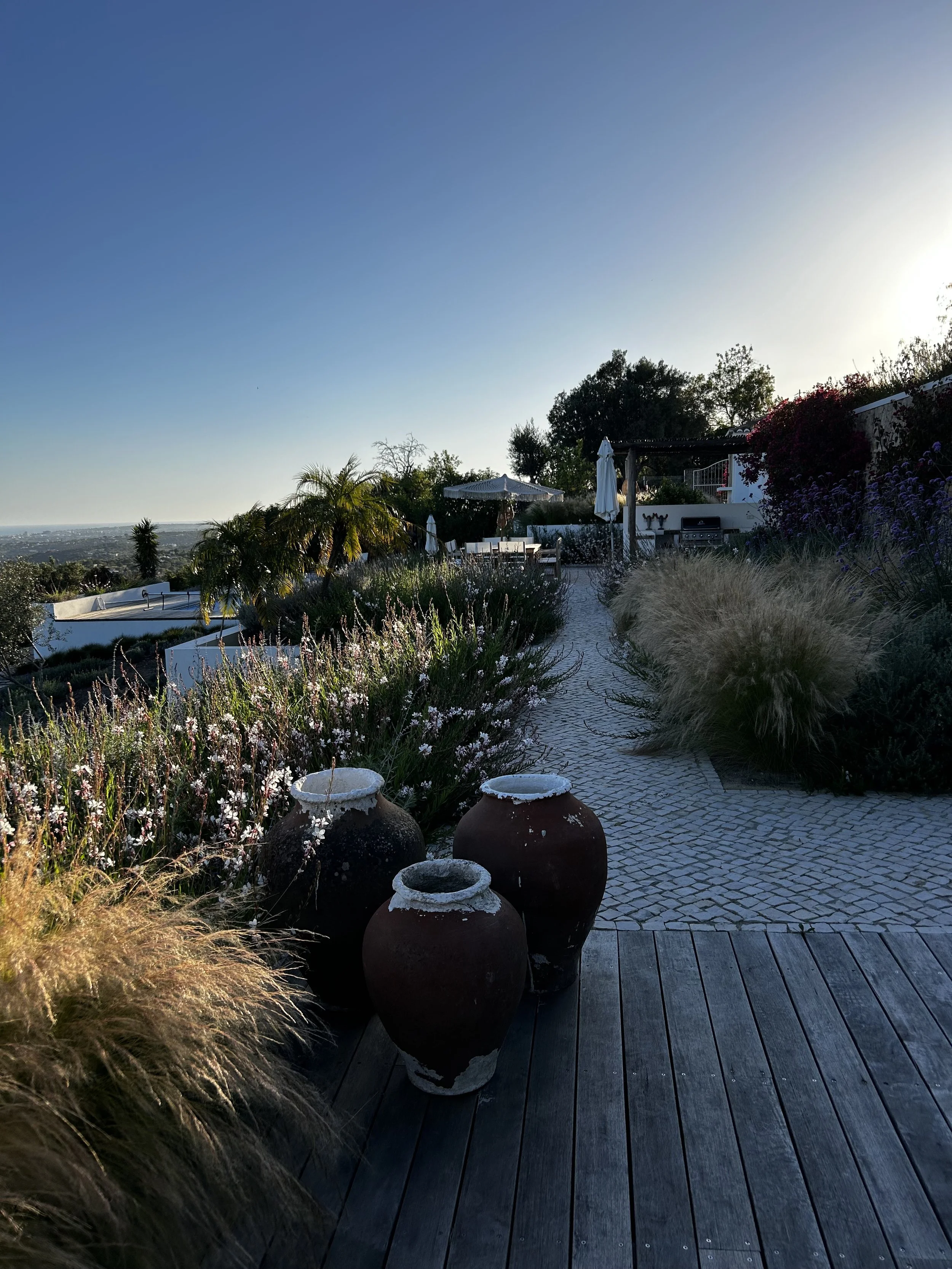 garden landscape design almancil - earth and clay884.jpeg