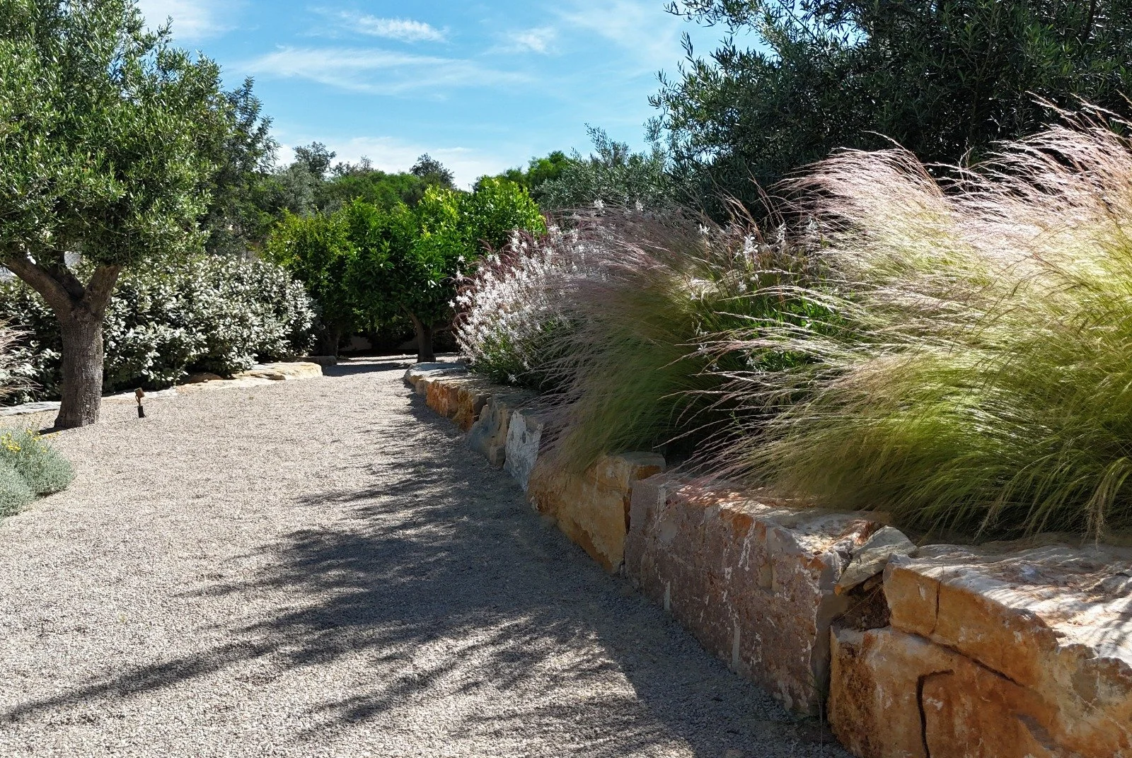 earthandclay natural garden designs algarve landscaping - low water consumption garden in algarve19.08.jpeg
