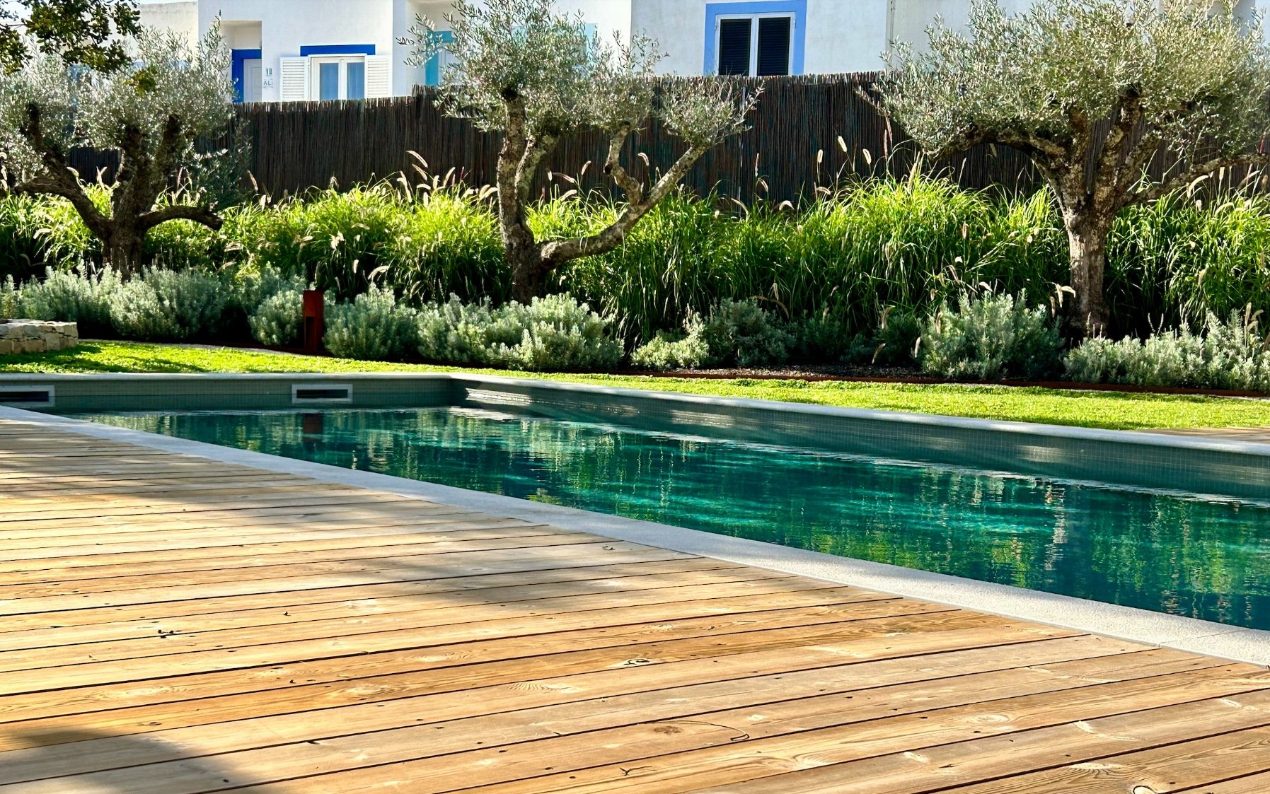 A backyard with a swimming pool, surrounded by wooden deck, lush green plants, bushes, and trees, with a blue and white house in the background.