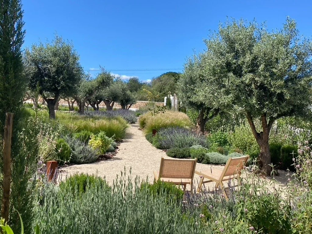 garden landscape design almancil - earth and clay884.jpg