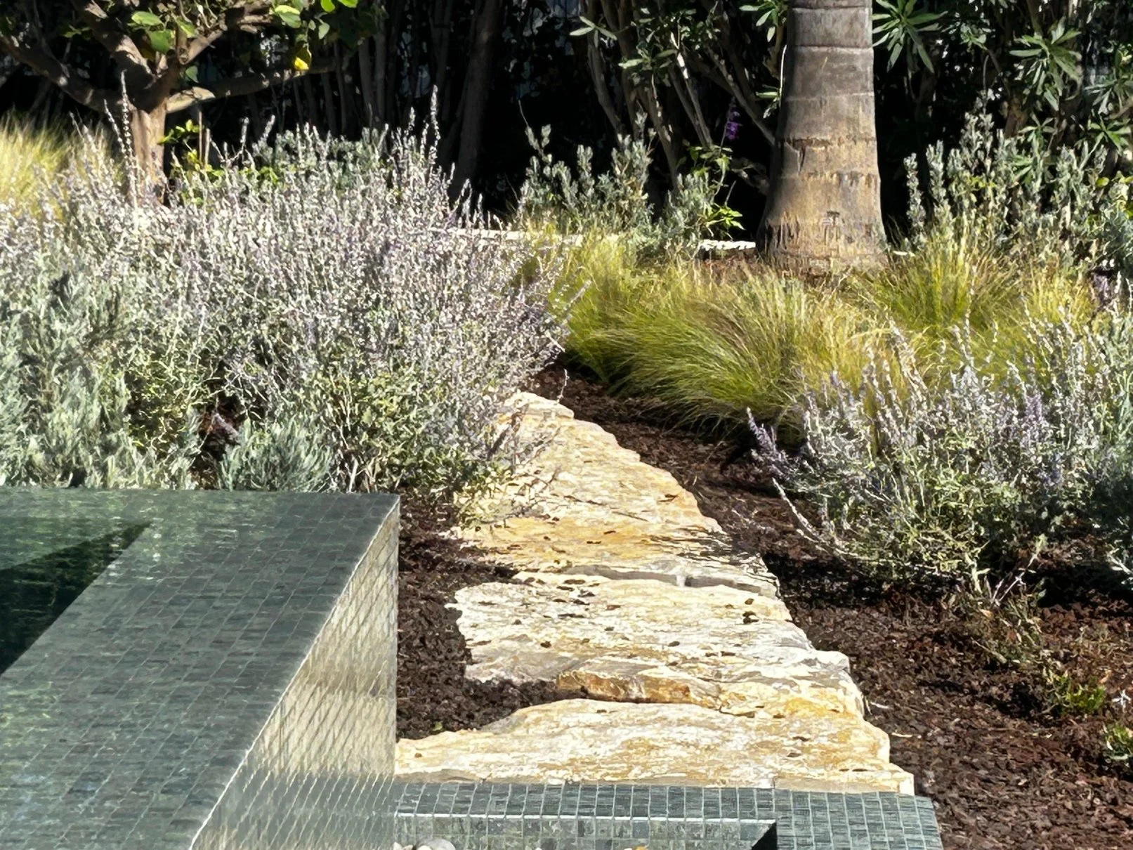 earthandclay natural garden designs algarve landscaping - low water consumption garden in algarve 18.jpg