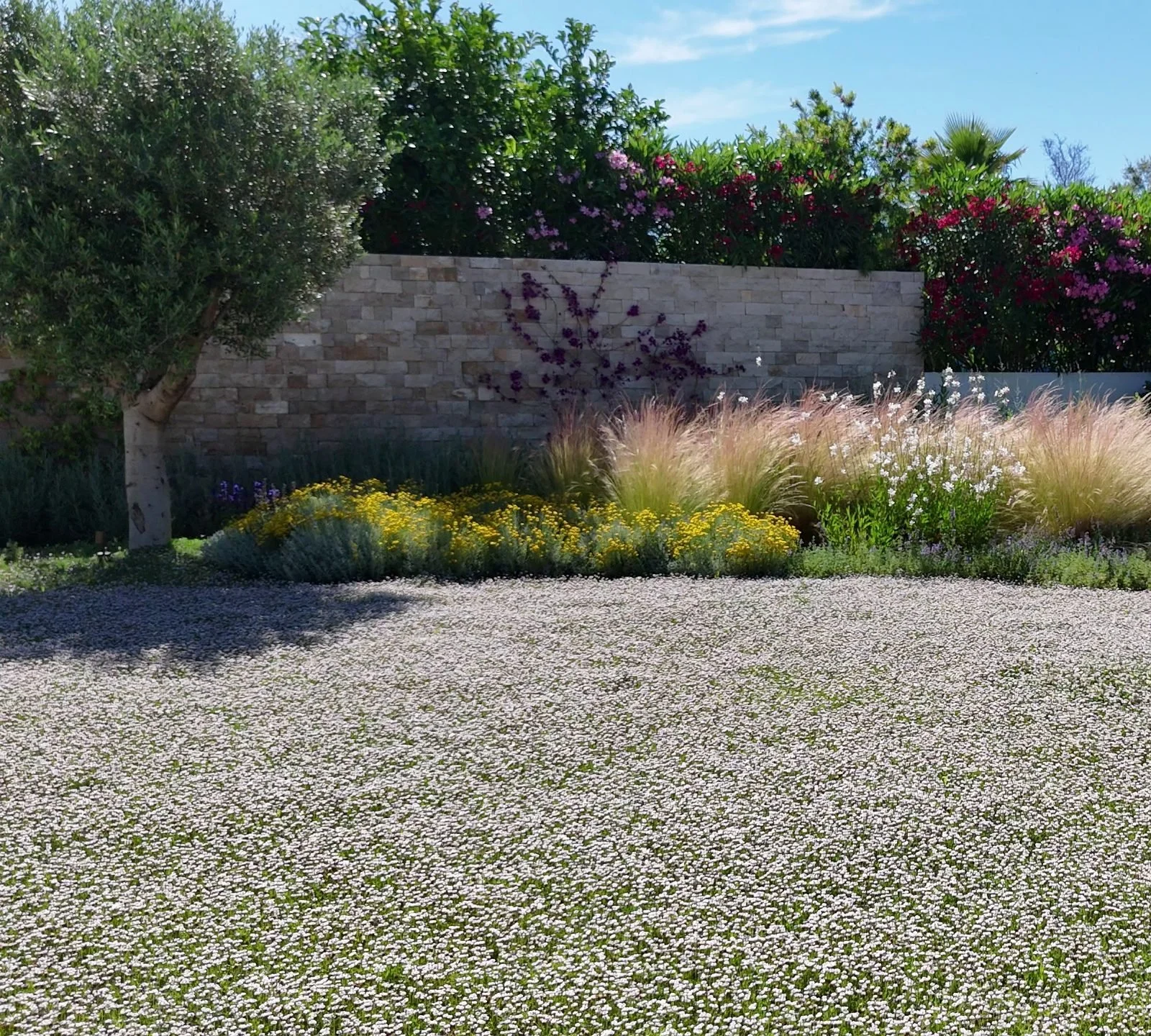 earthandclay natural garden designs algarve landscaping - low water consumption garden in algarve08 (1).jpeg