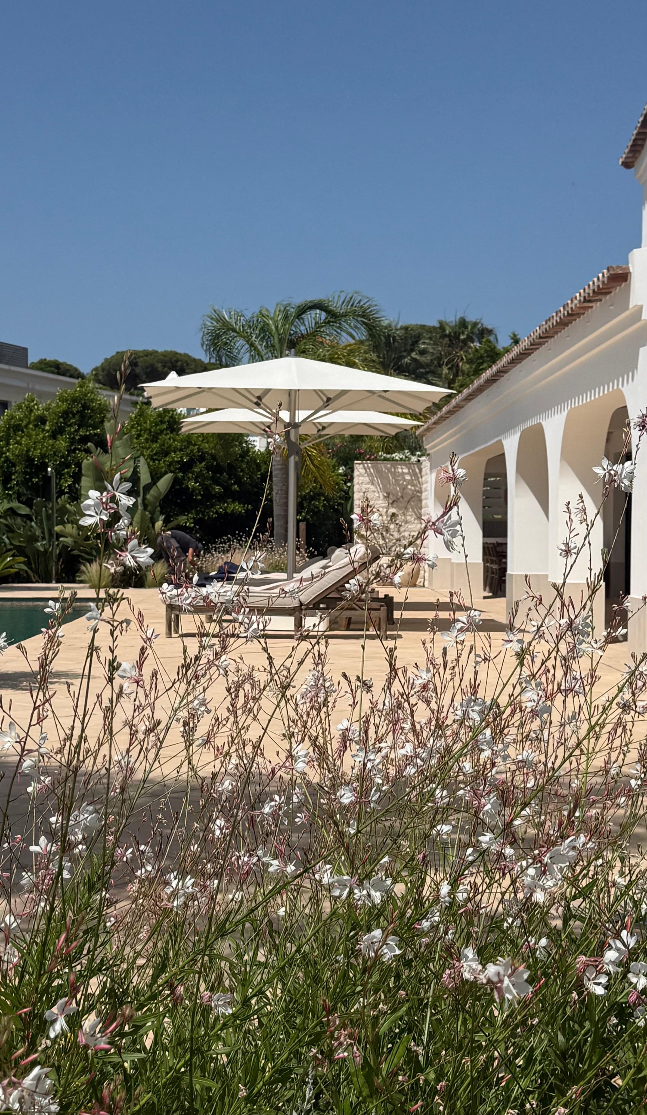 natural gardens algarve portugal landscape designs earth and clay1.jpeg