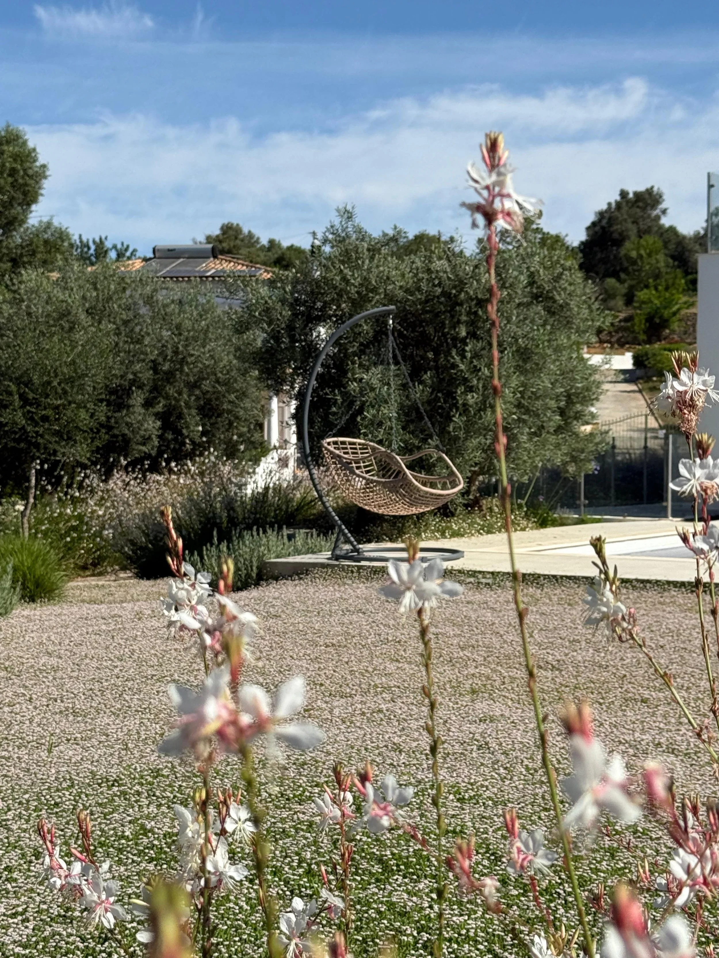 earthandclay natural garden designs algarve landscaping - low water consumption garden in algarve3.50.jpeg