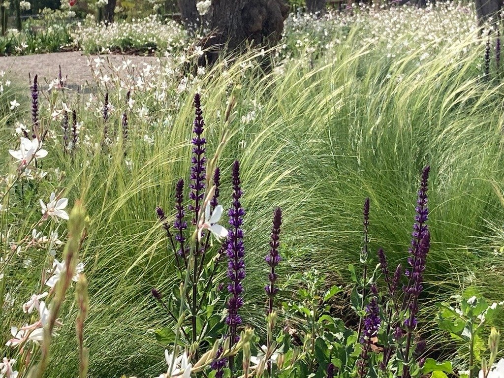 garden landscape designers near me - boliqueime, almancil - low water consumption gardens algarveearth and clay884.jpg