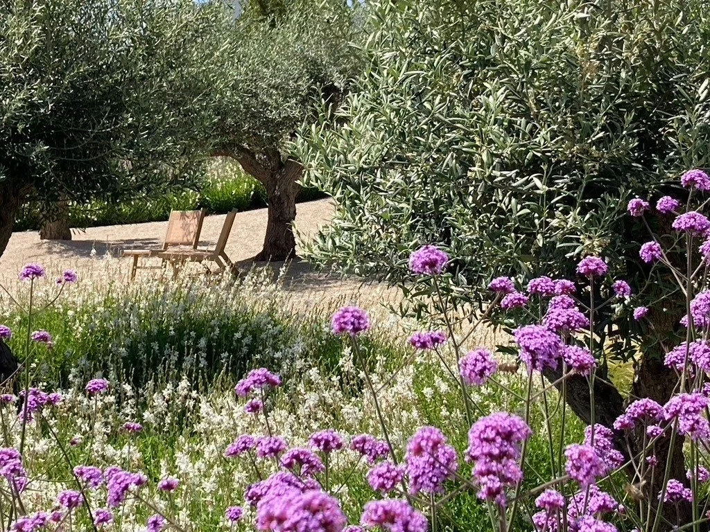 garden landscape design , boliqueime, almancil - earth and clay884.jpg