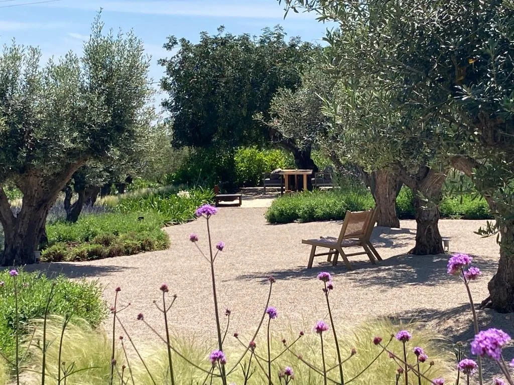 garden landscape designers near me - boliqueime, almancil - low water consumption gardens algarveearth and clay884.jpg