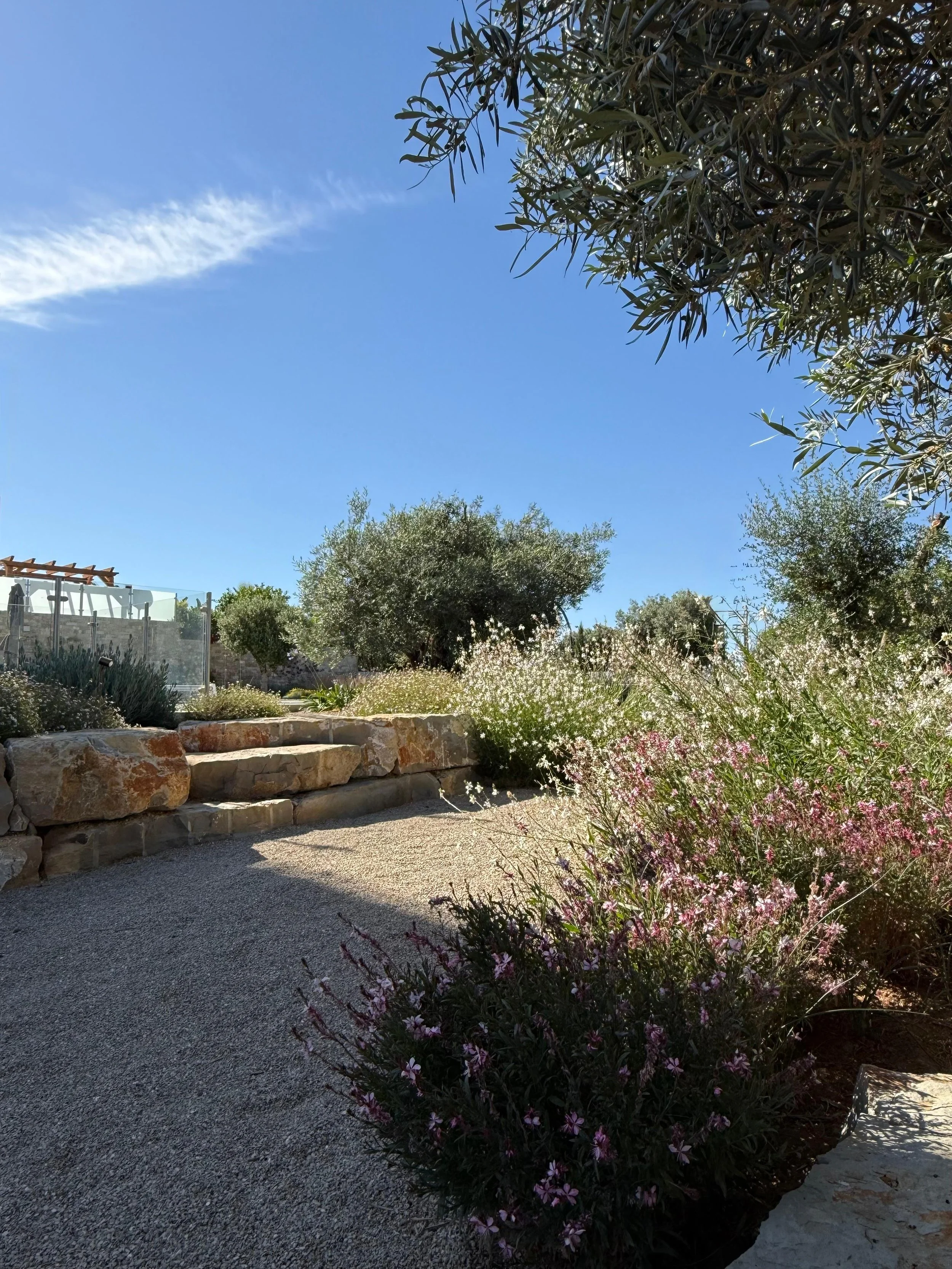 earthandclay natural garden designs algarve landscaping - low water consumption garden in algarve9.56.jpeg