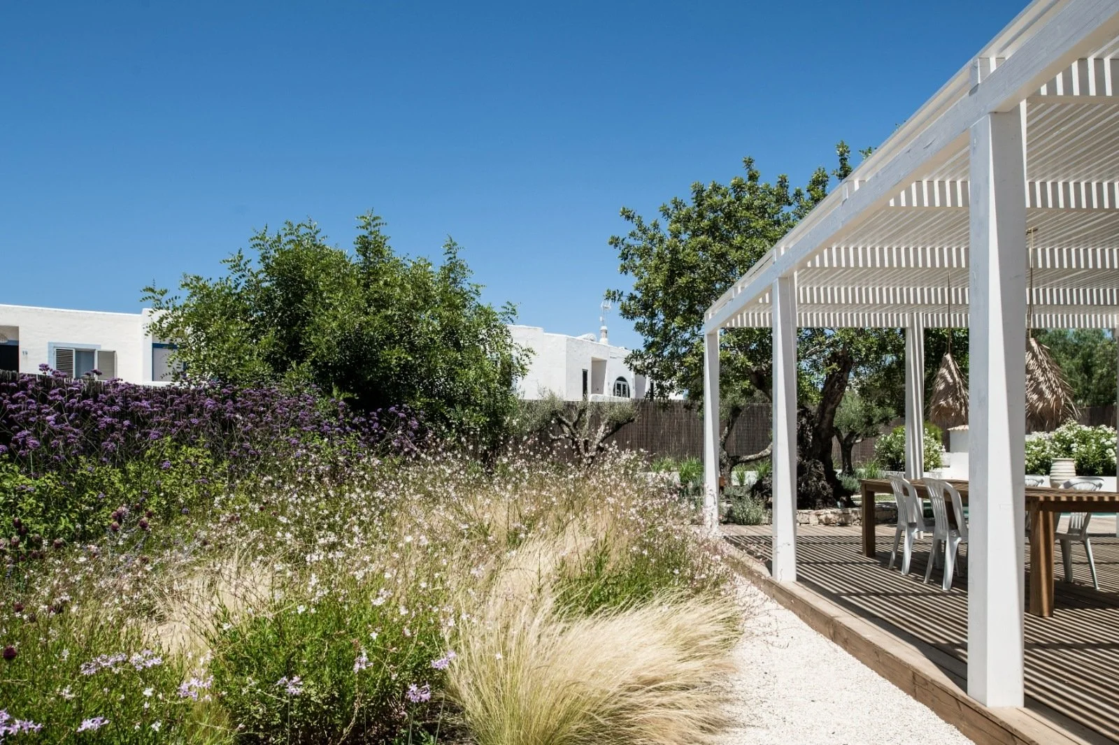 natural lawn alternatives algarve - garden designers almancil, carvoeiro, loule.jpg