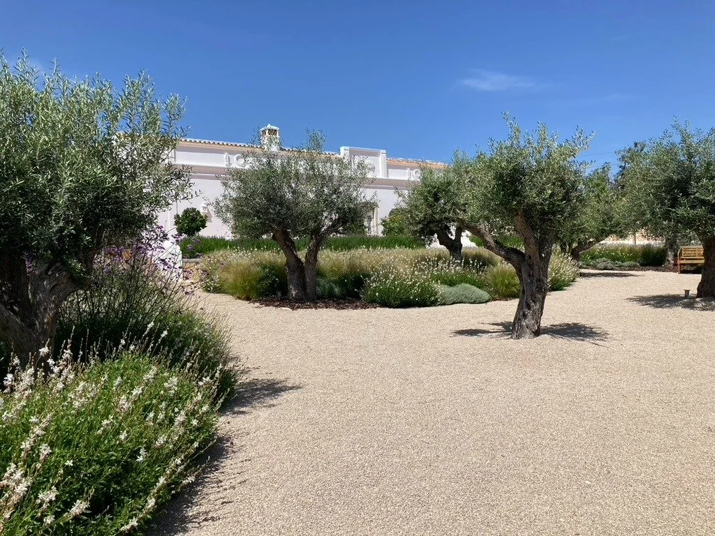garden landscape designers near me - boliqueime, almancil - low water consumption gardens algarveearth and clay884.jpg