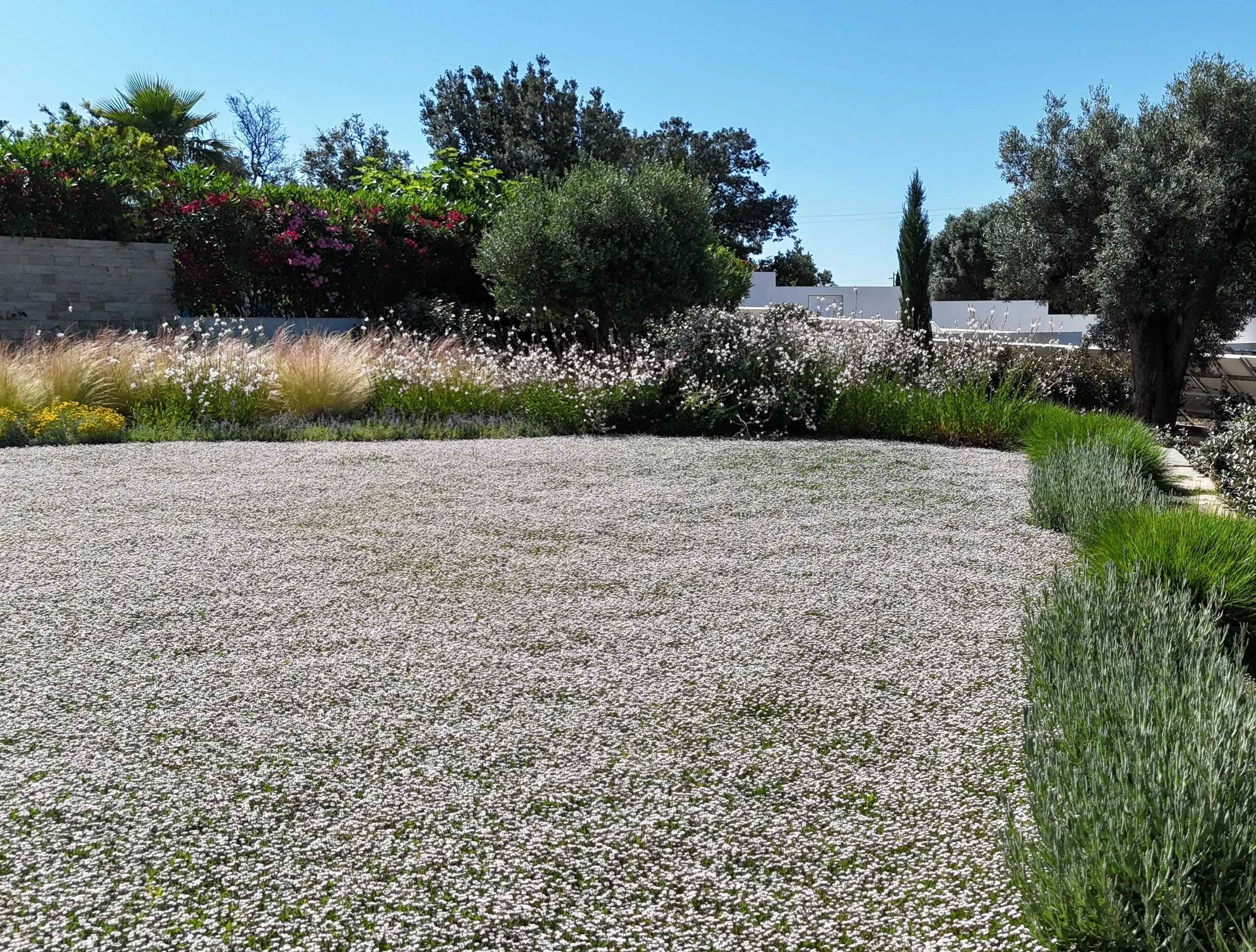 earthandclay garden designs algarve landscaping27_D.JPG