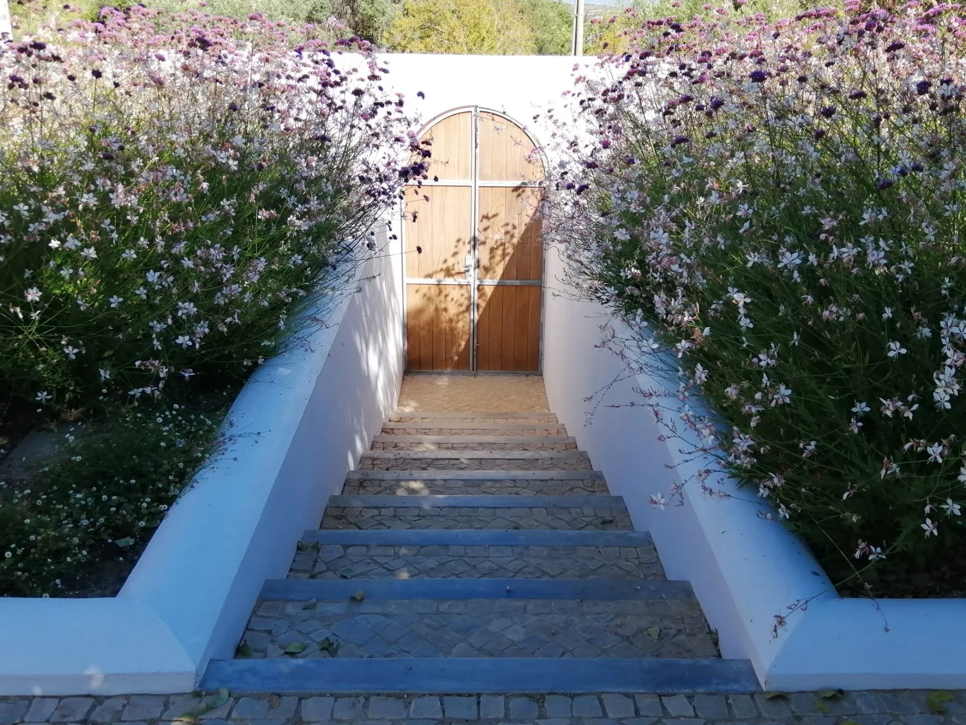 Stone staircase leading to a wooden gate, flanked by tall flowering bushes with pink and white blooms on either side. Beautifully designed garden and landscape with low water consumption plants - in Algarve.