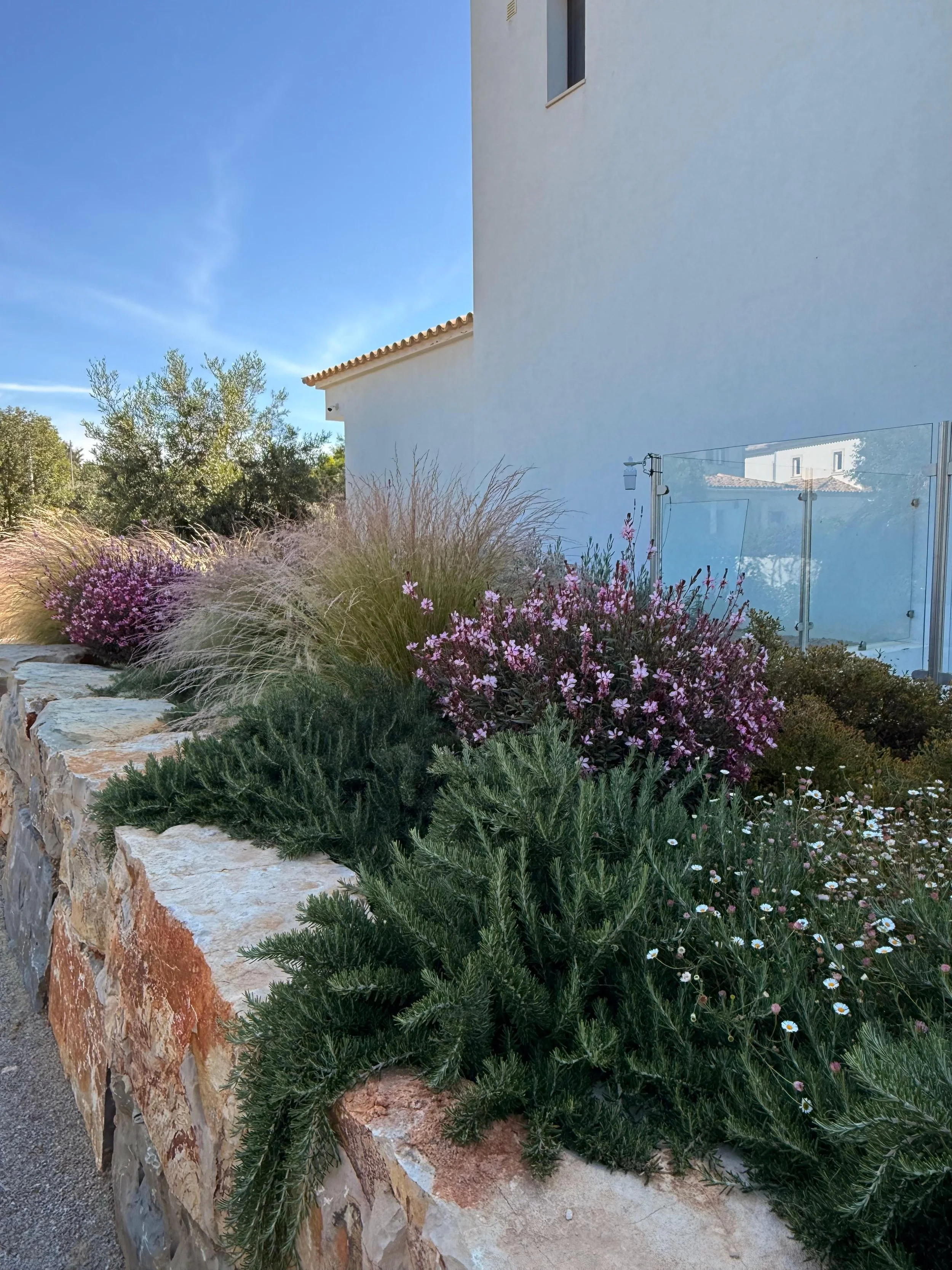 earthandclay natural garden designs algarve landscaping - low water consumption garden in algarve6.47.jpeg