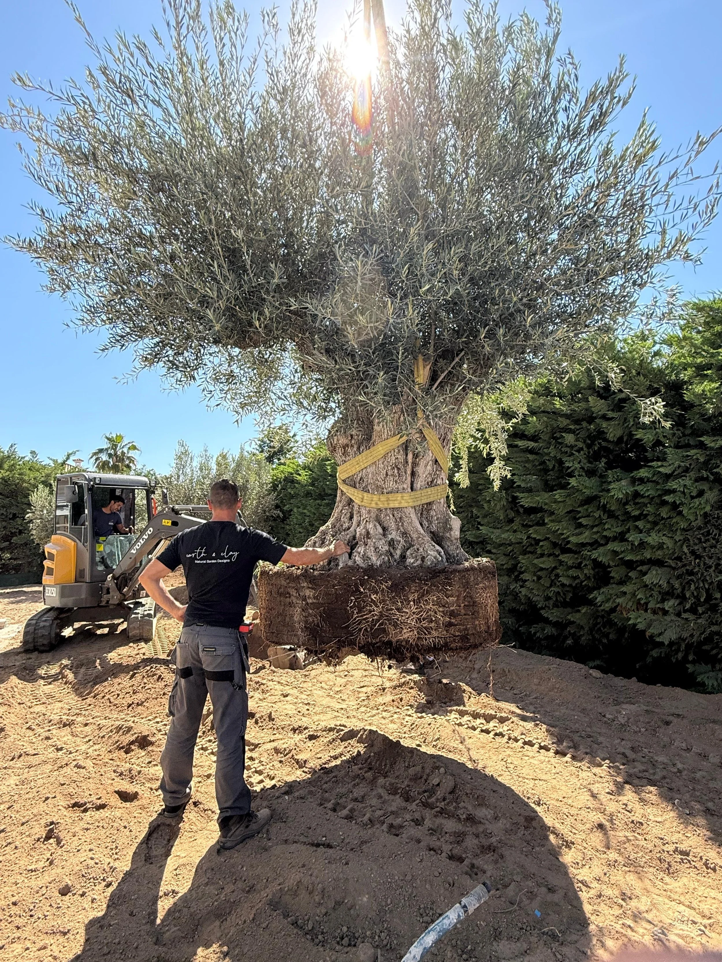 natural gardens algarve portugal landscape designs earth and clay4.jpeg