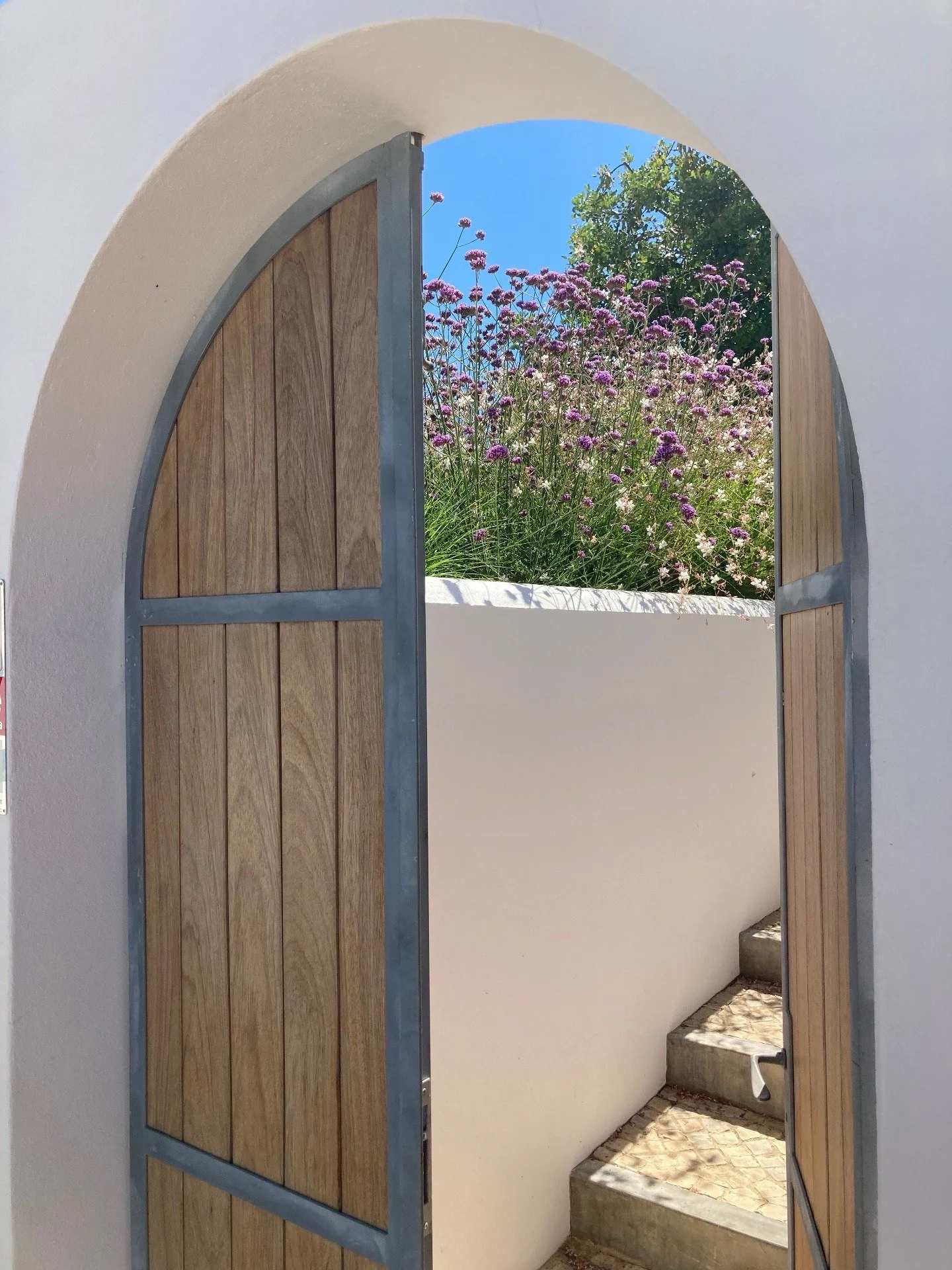 natural lawn alternatives algarve - garden designers almancil, carvoeiro, loule.jpg