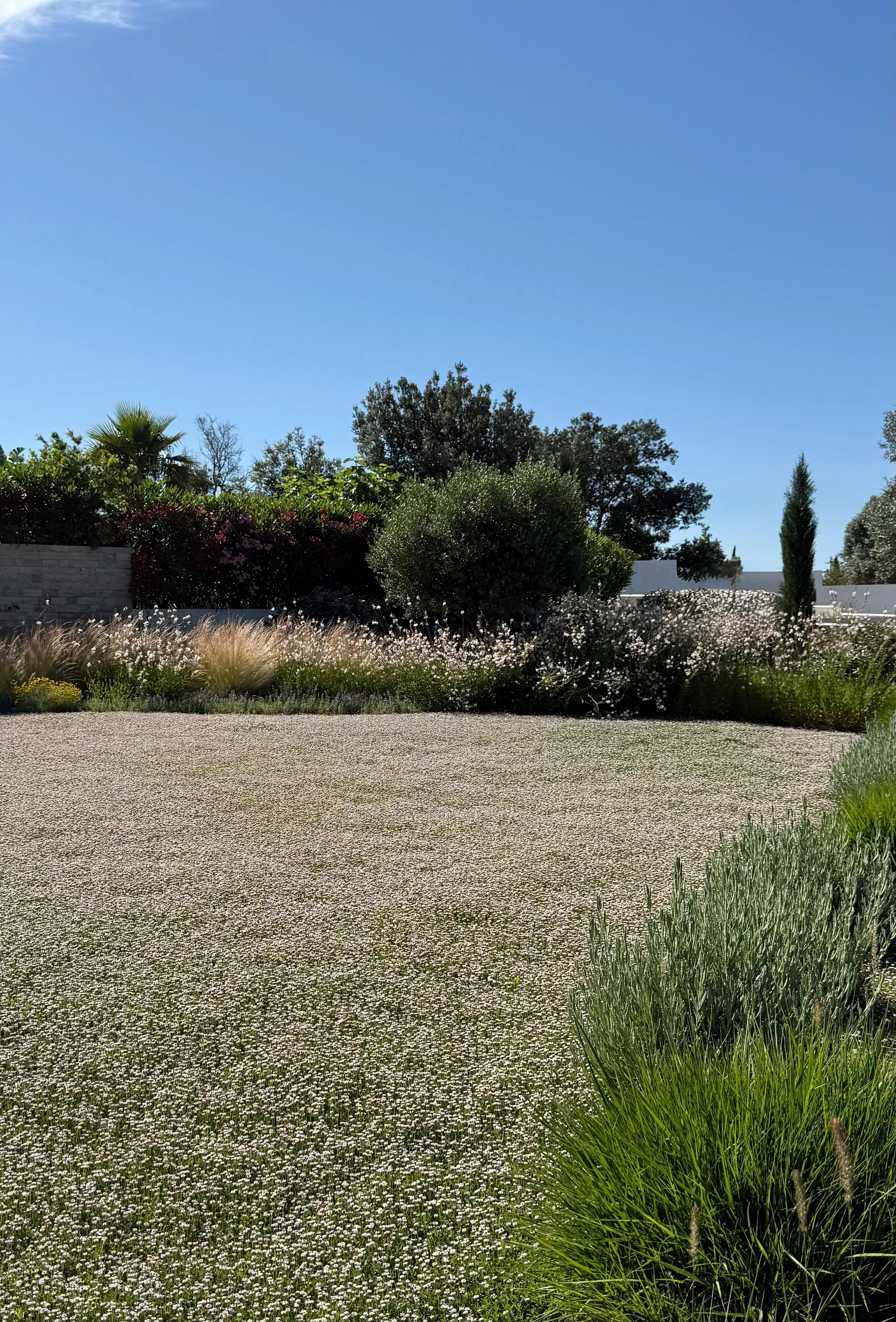 earthandclay natural garden designs algarve landscaping - low water consumption garden in algarve32.16.jpeg