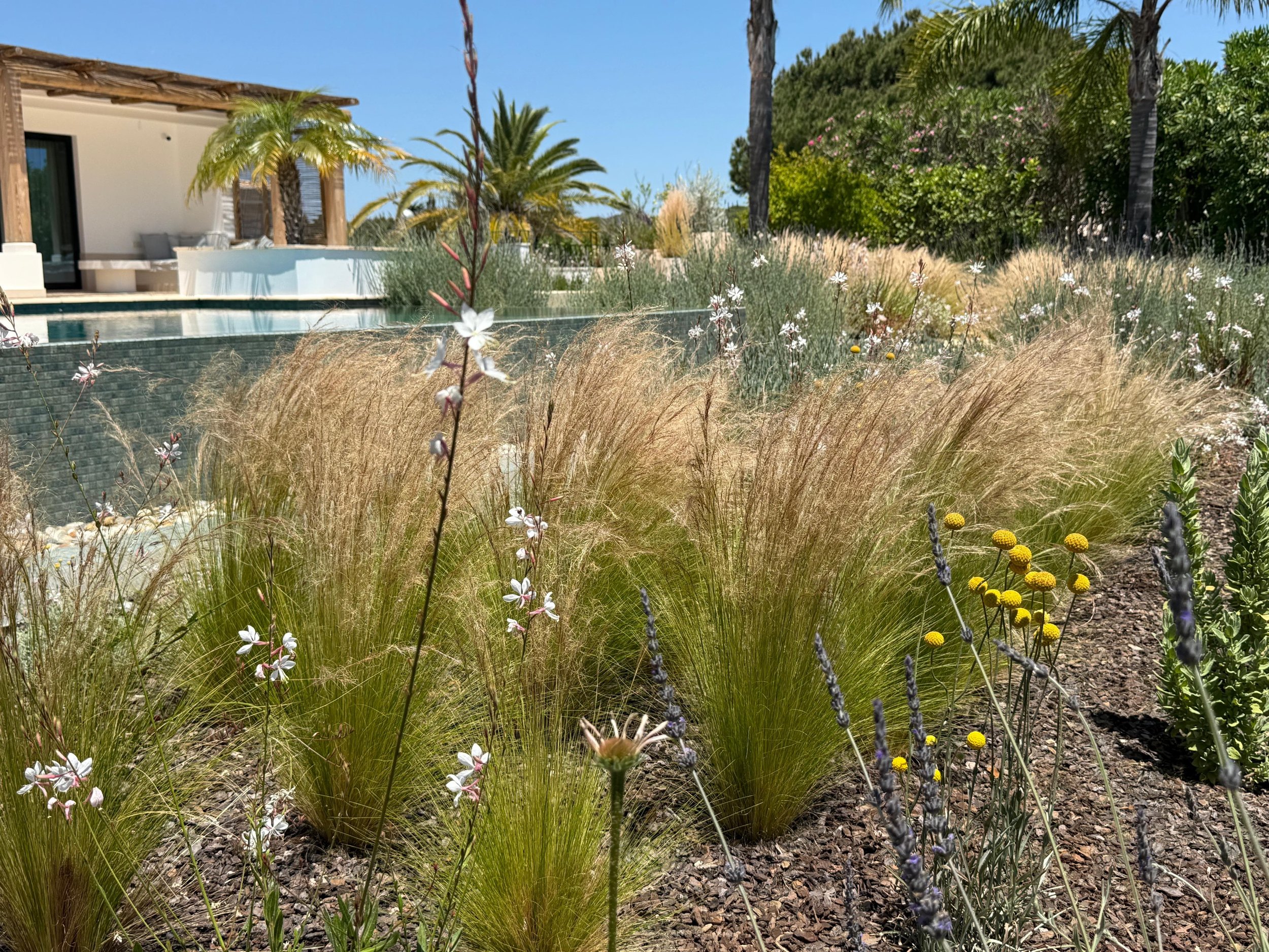 garden installation earth and clay - landscape designs20 (2).jpeg
