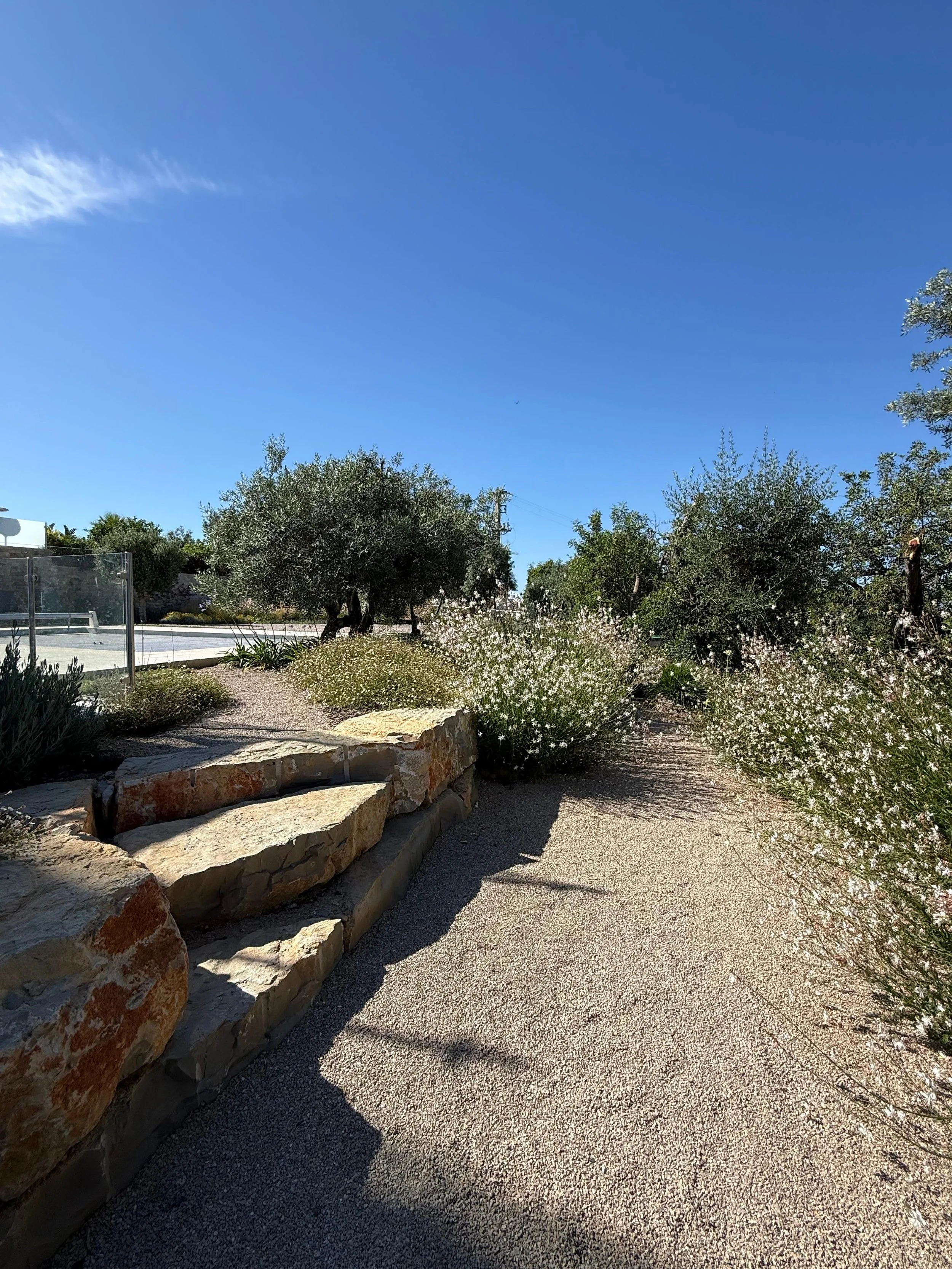 earthandclay natural garden designs algarve landscaping - low water consumption garden in algarve4.57.jpeg